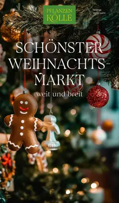 Vorschau Pflanzen-Kölle Weihnachtsmarkt-Prospekt gültig ab 10.11.2025