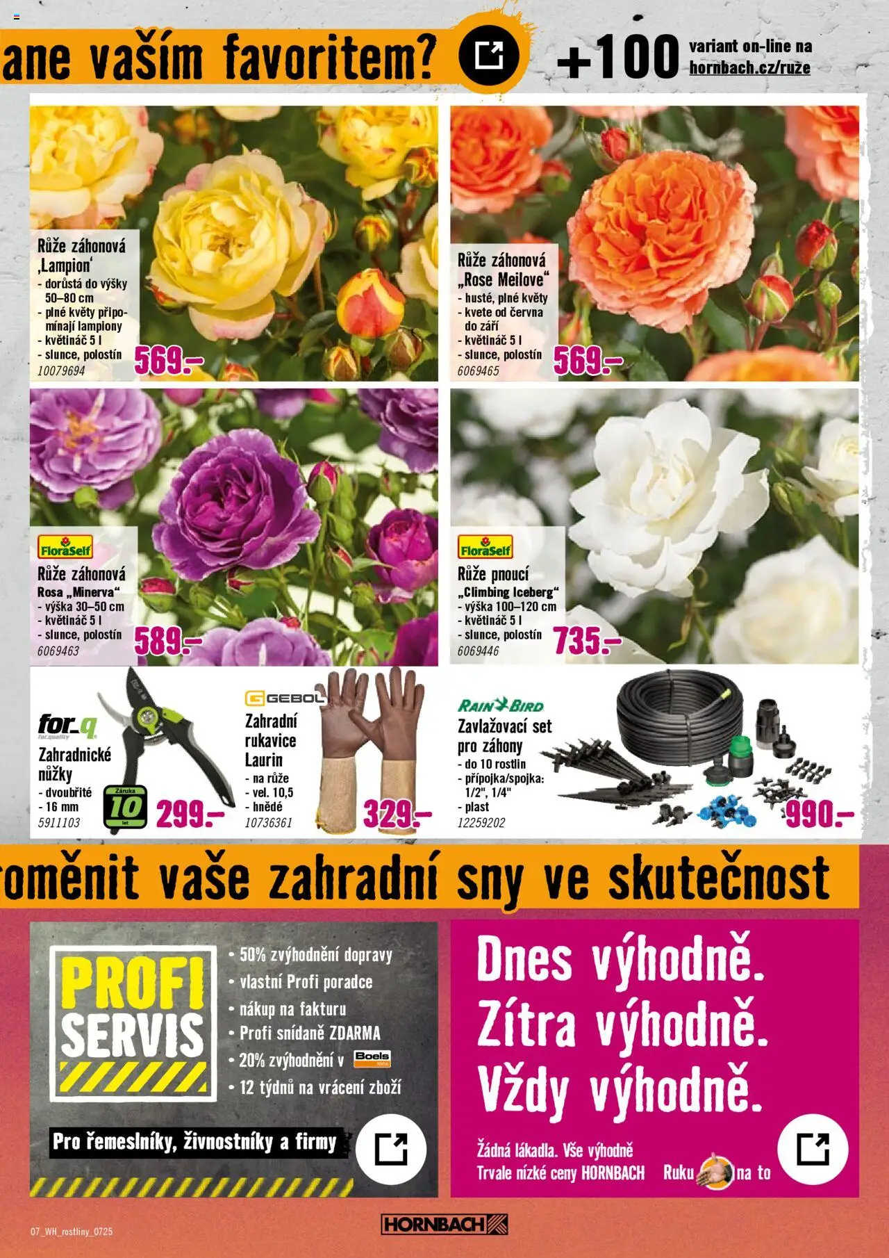 HORNBACH leták - Rostliny lákající hmyz - strana 7- platný od 09.07.2025
