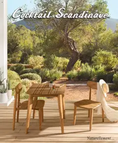 Aperçu Cocktail Scandinave catalogue valable à partir du 12/05/2025