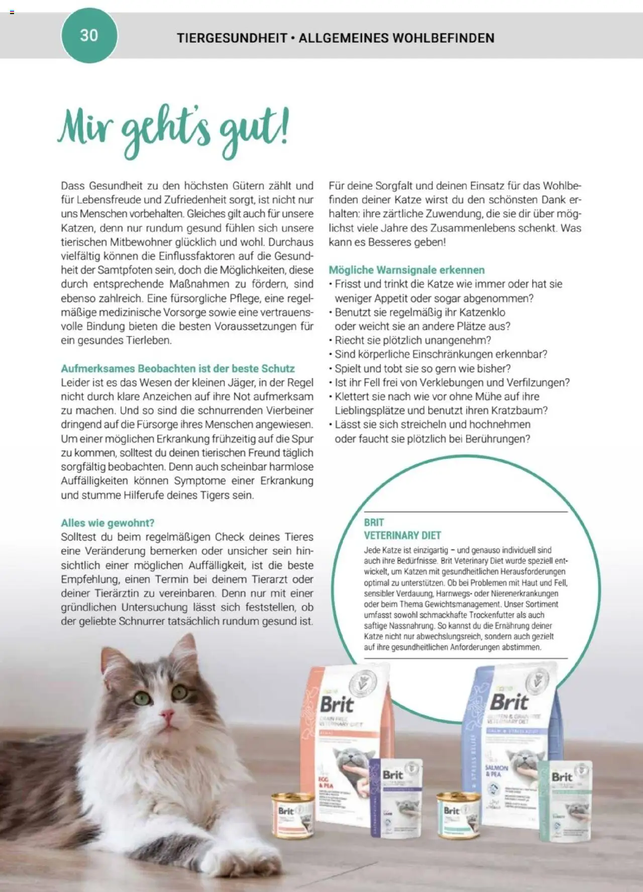 zookauf Themenkatalog Katze - Seite 30 - gültig ab 01.10.2025