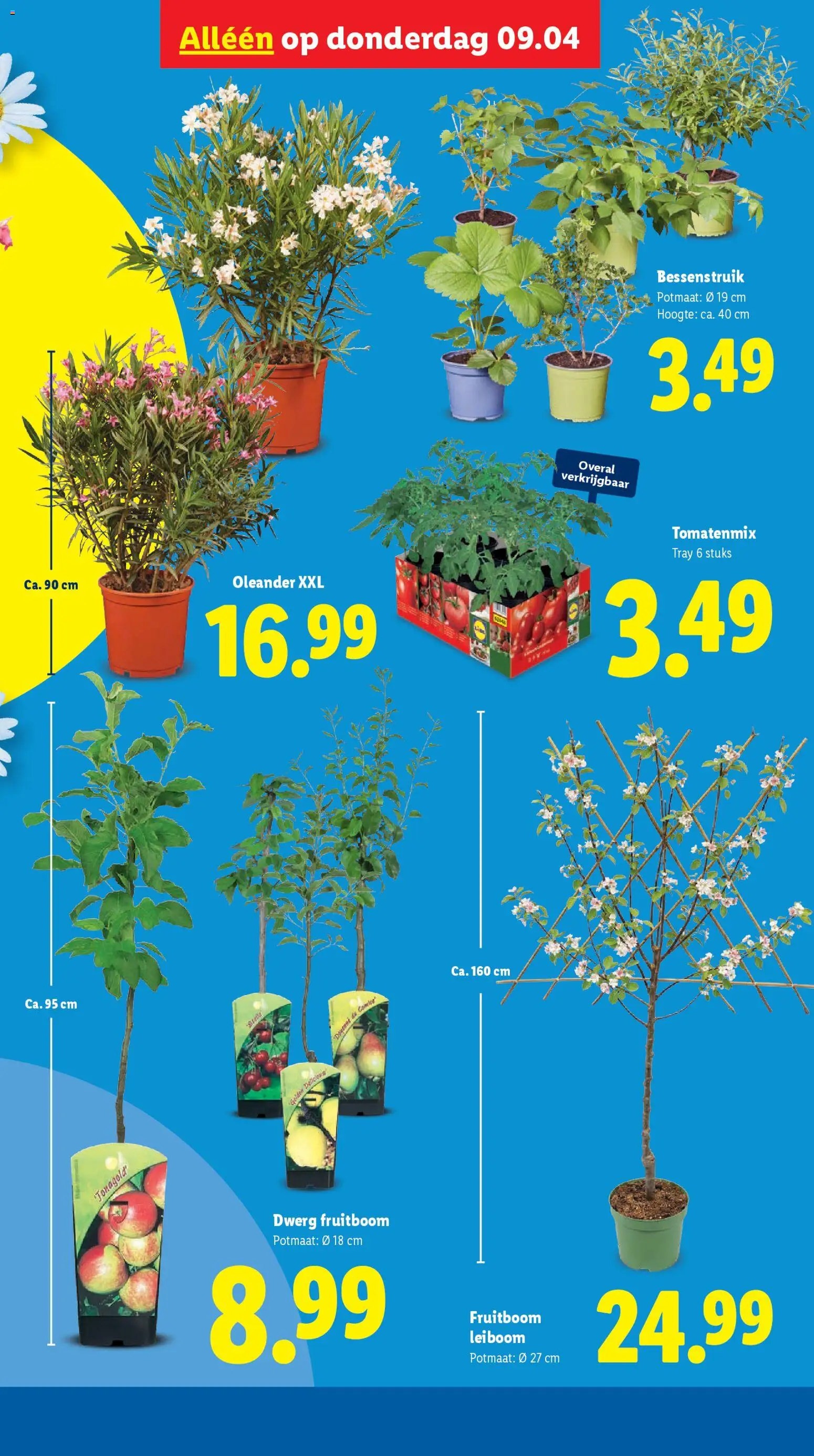 Lidl folder week 15 - page 38- valid from 07-04-2026