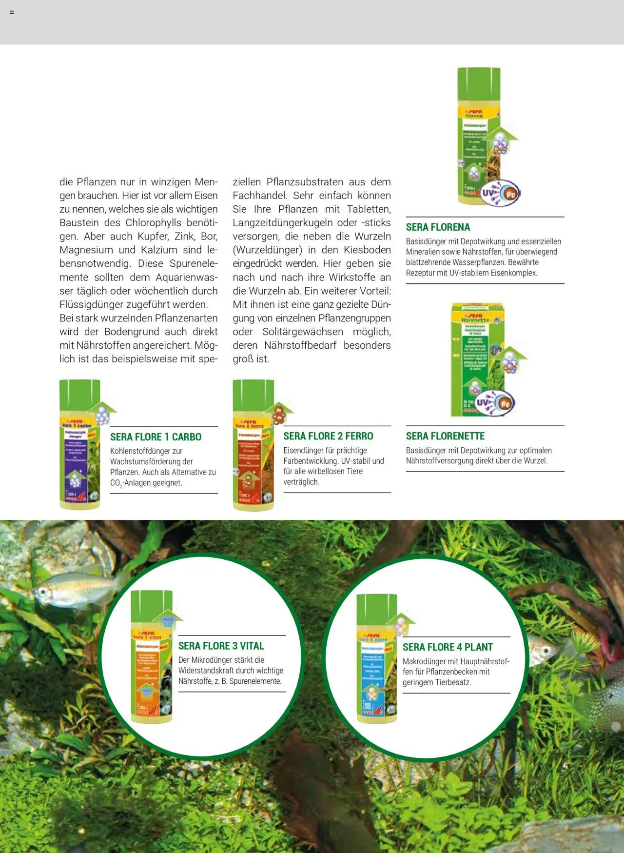 zookauf Aquaristik - Seite 61 - gültig ab 24.09.2024