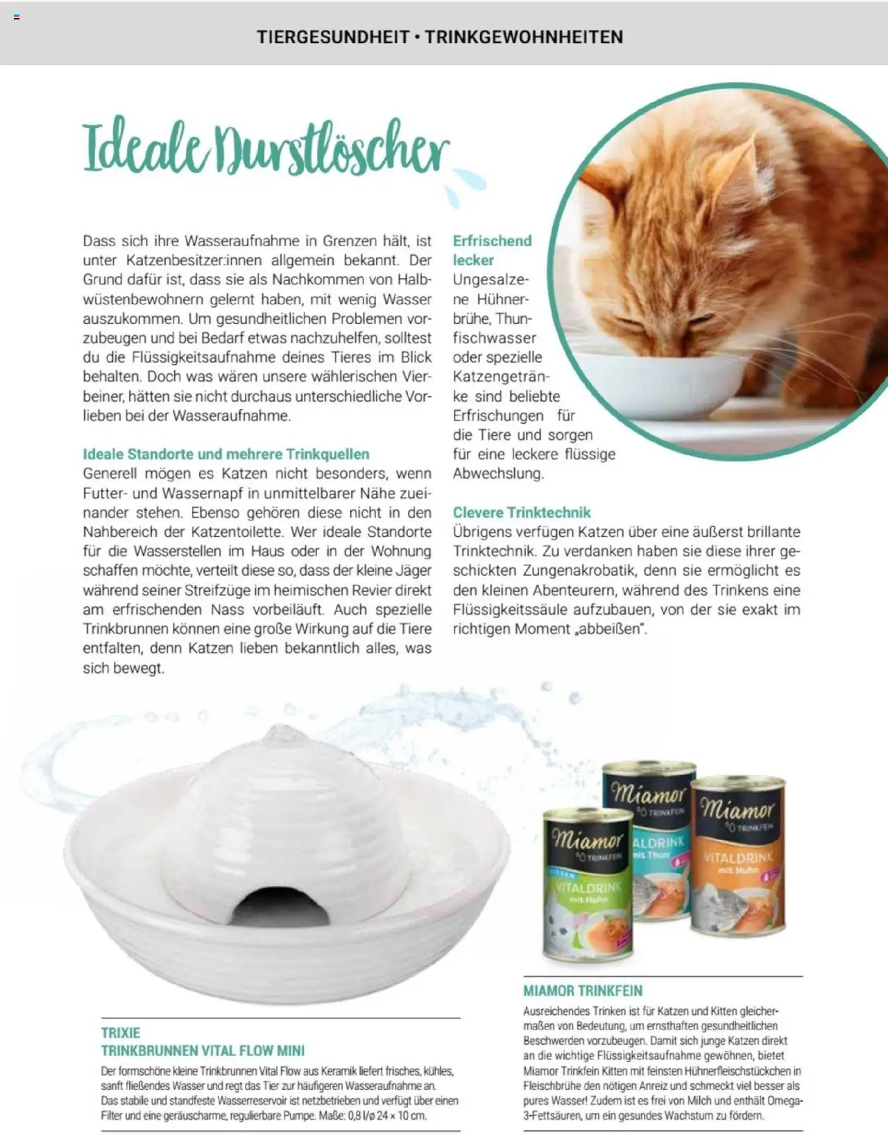 zookauf Themenkatalog Katze - Seite 33 - gültig ab 01.10.2025