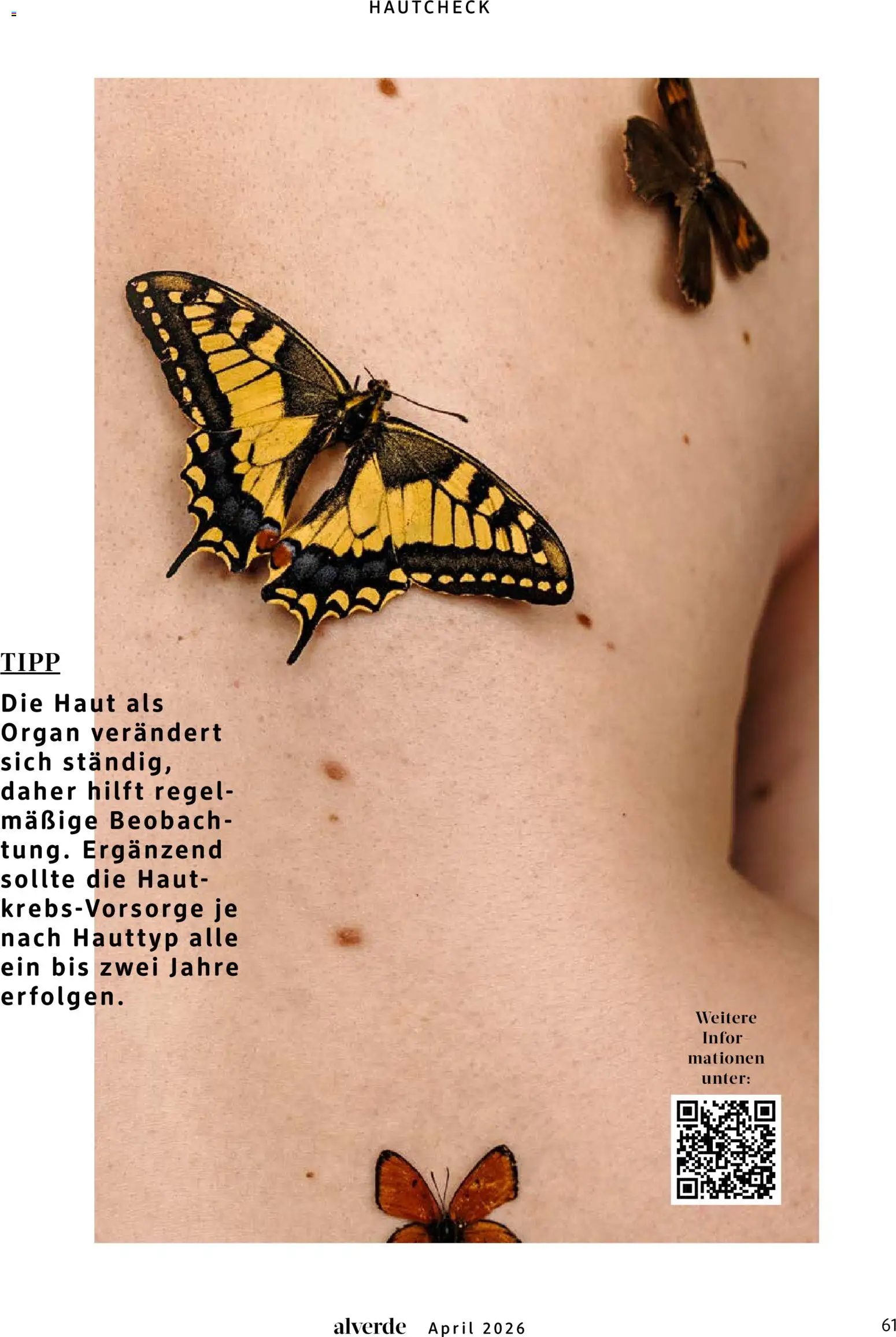 dm drogerie Prospekt 	 - Seite 61 - gültig ab 01.04.2026