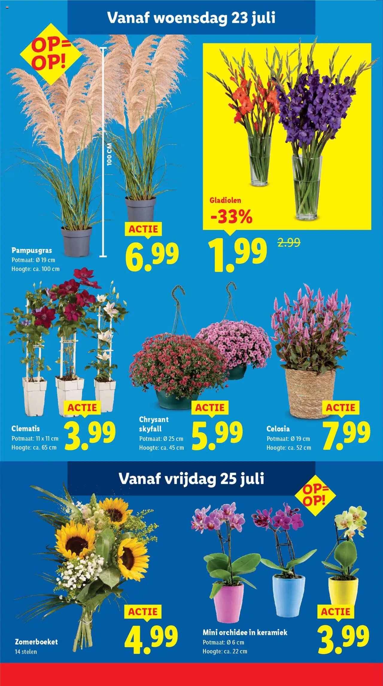 Lidl - Folder week 30 - pagina 17- geldig vanaf 21-07-2025