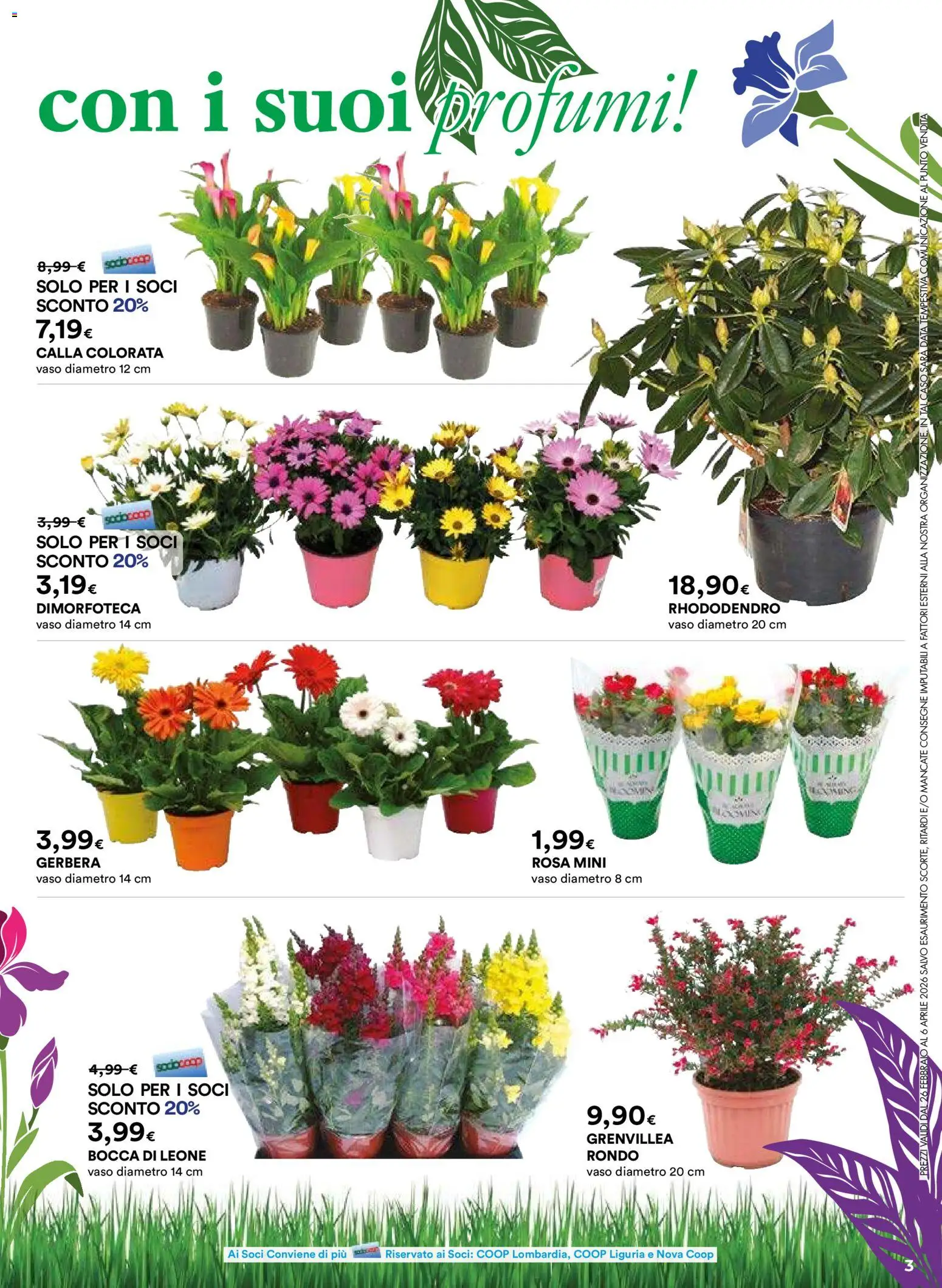 Ipercoop Aria di Primavera - Lombardia catalogo - pagina 3 - valido dal 26/02/2026