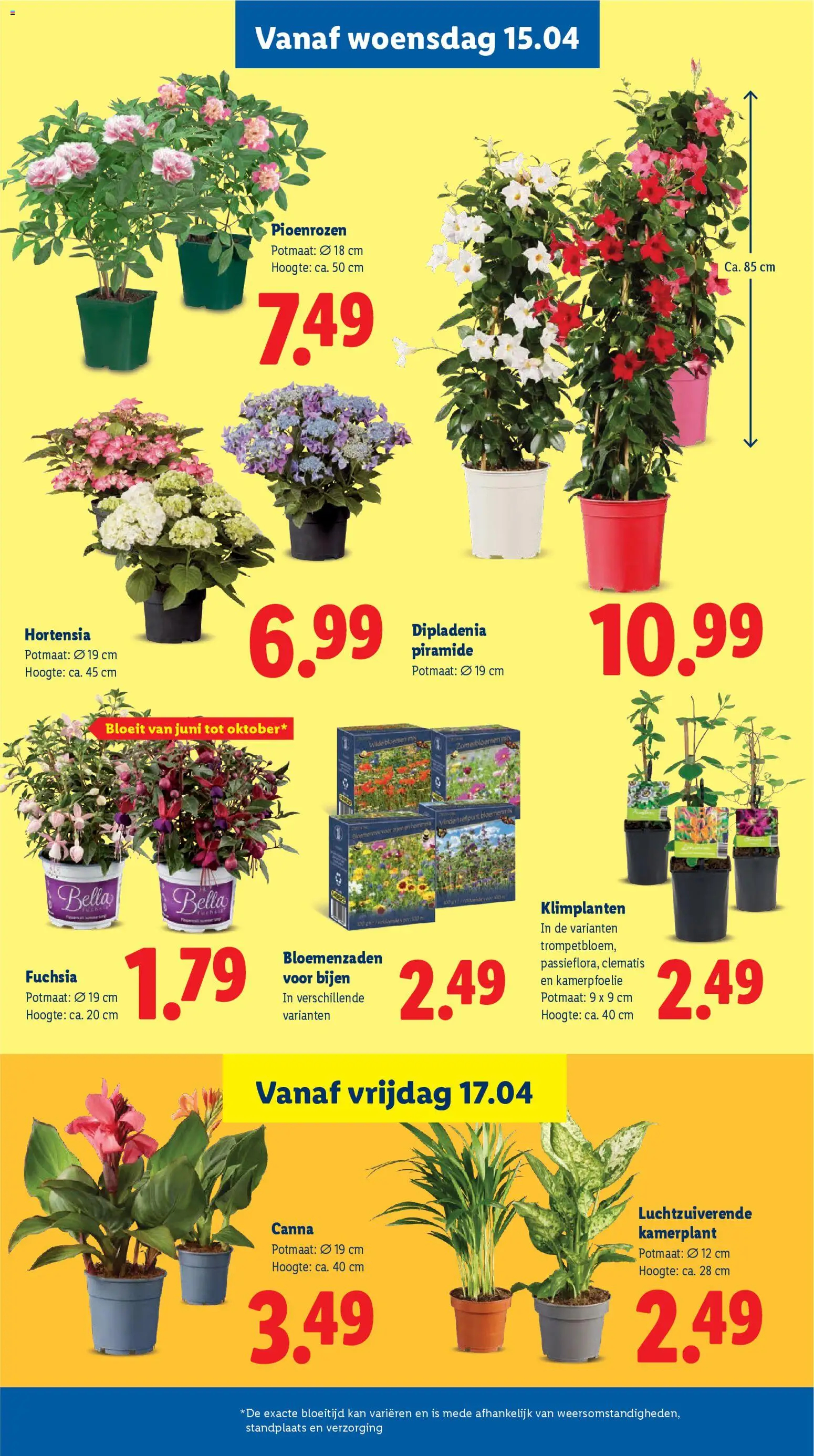 Lidl folder week 16 - page 24- valid from 13-04-2026