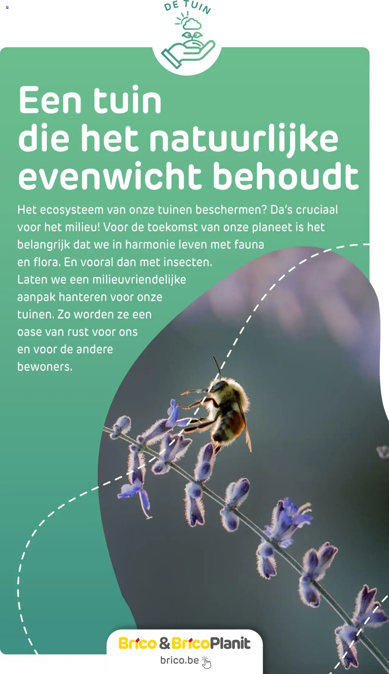 Brico Duurzaamheidsmagazine - pagina 62- geldig vanaf 20/02/2024