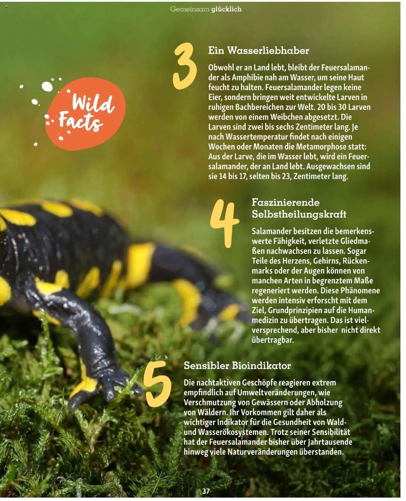 Fressnapf Friends 02/26 - page 37- valid from 01.03.2026