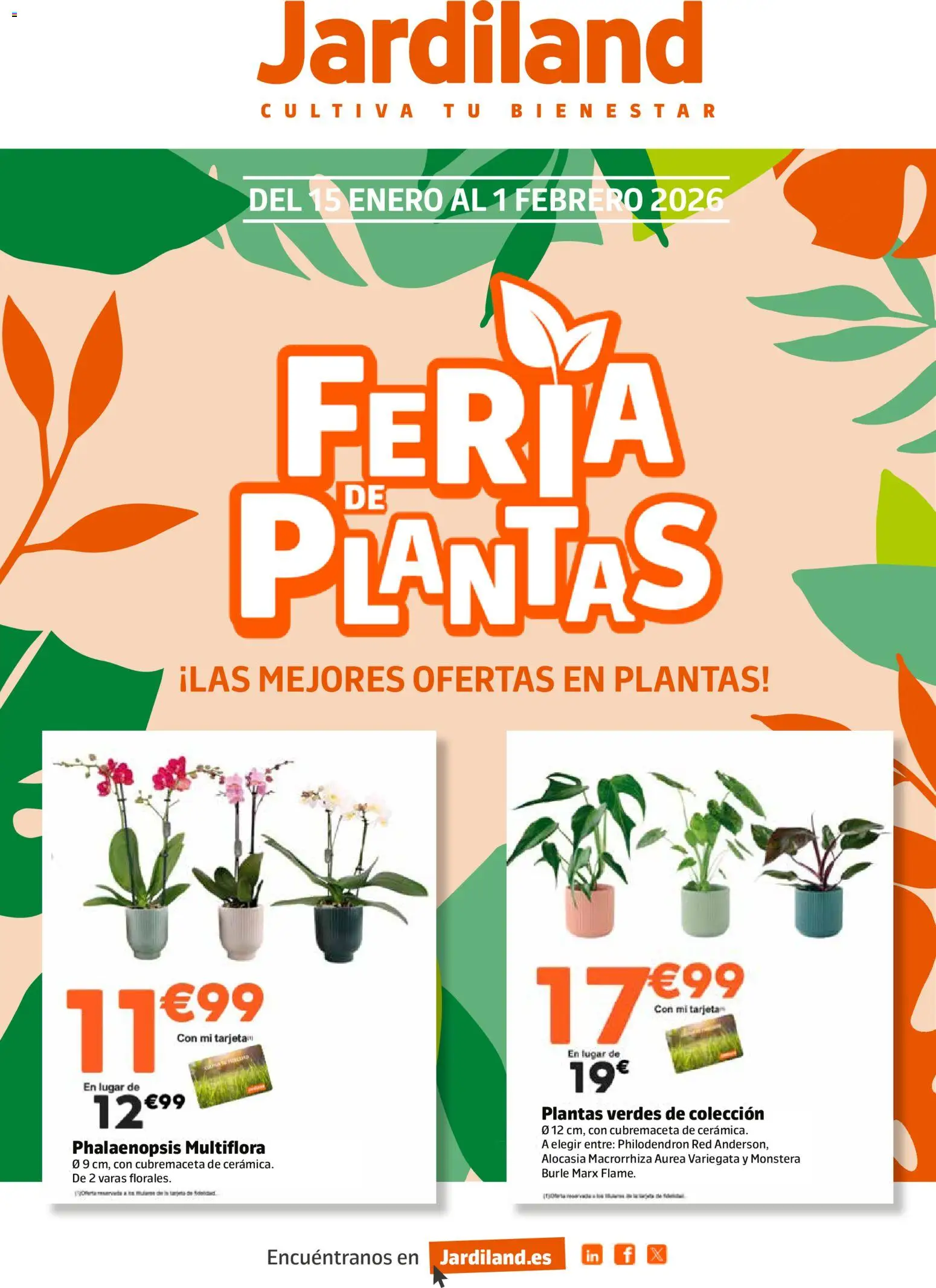 Jardiland folleto - Página de 1 - Válido desde 15/01/2026