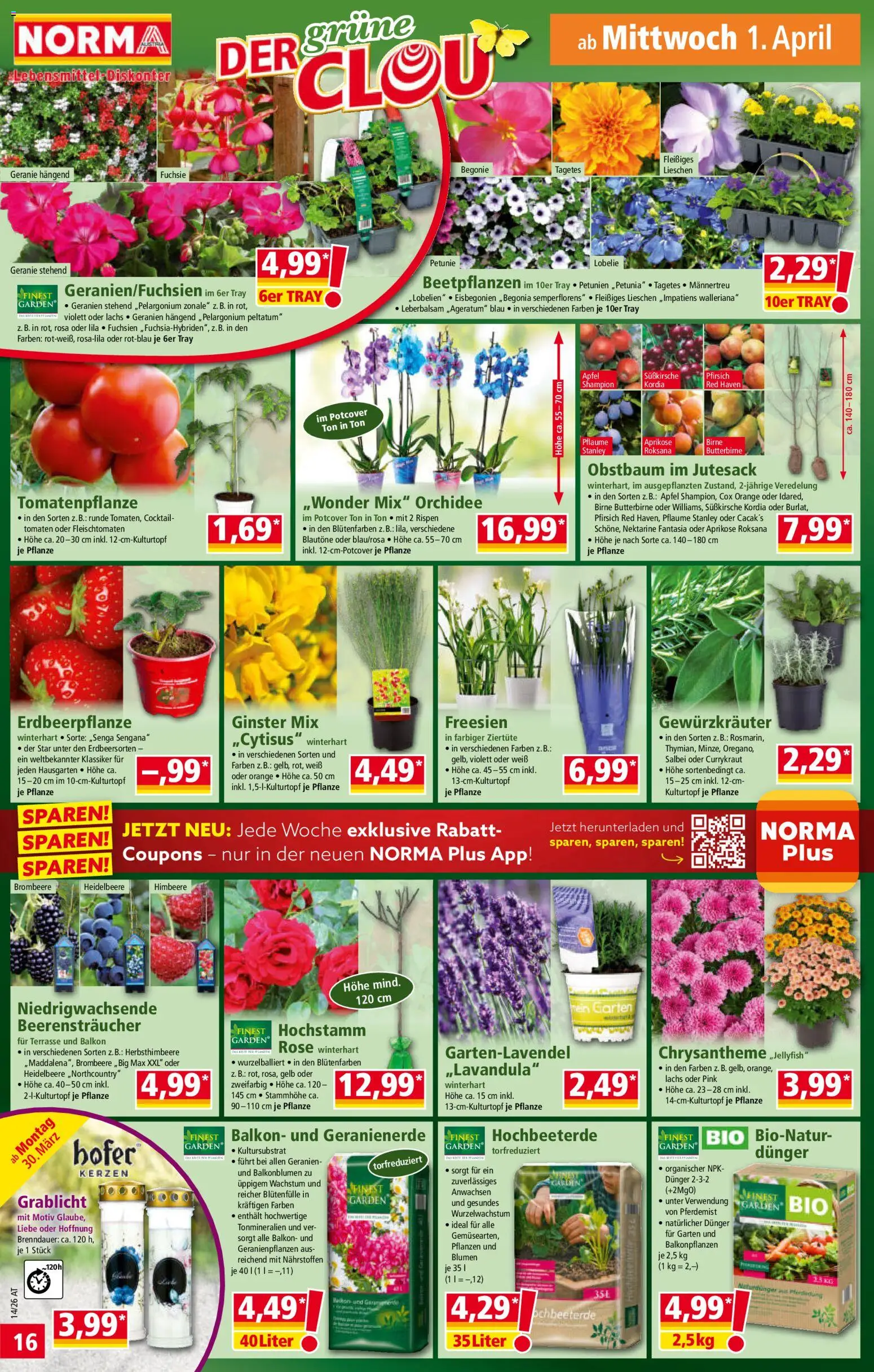 Norma Flugblatt - page 16- valid from 30.03.2026