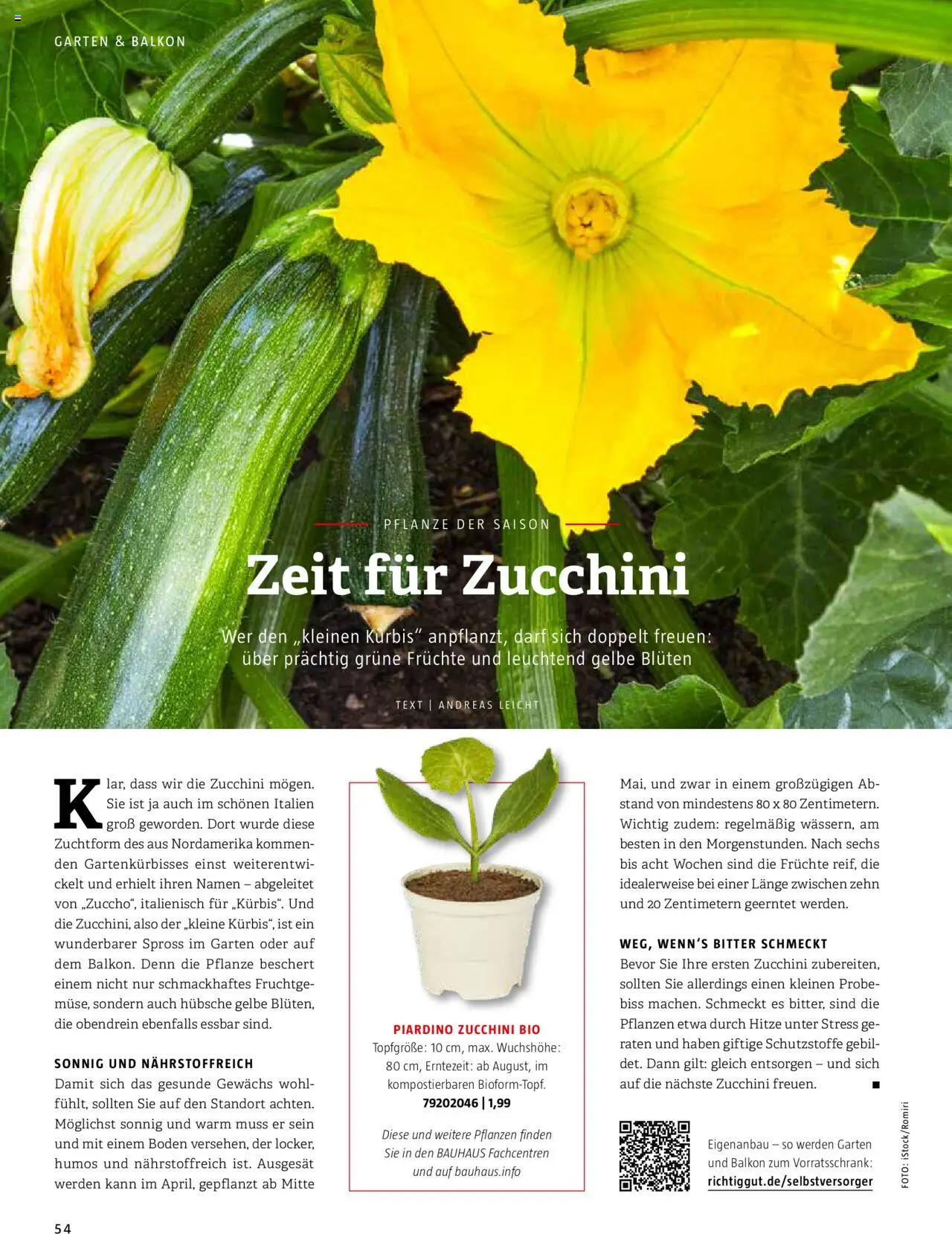 Bauhaus passt! Magazin - Seite 54 - gültig ab 10.03.2025