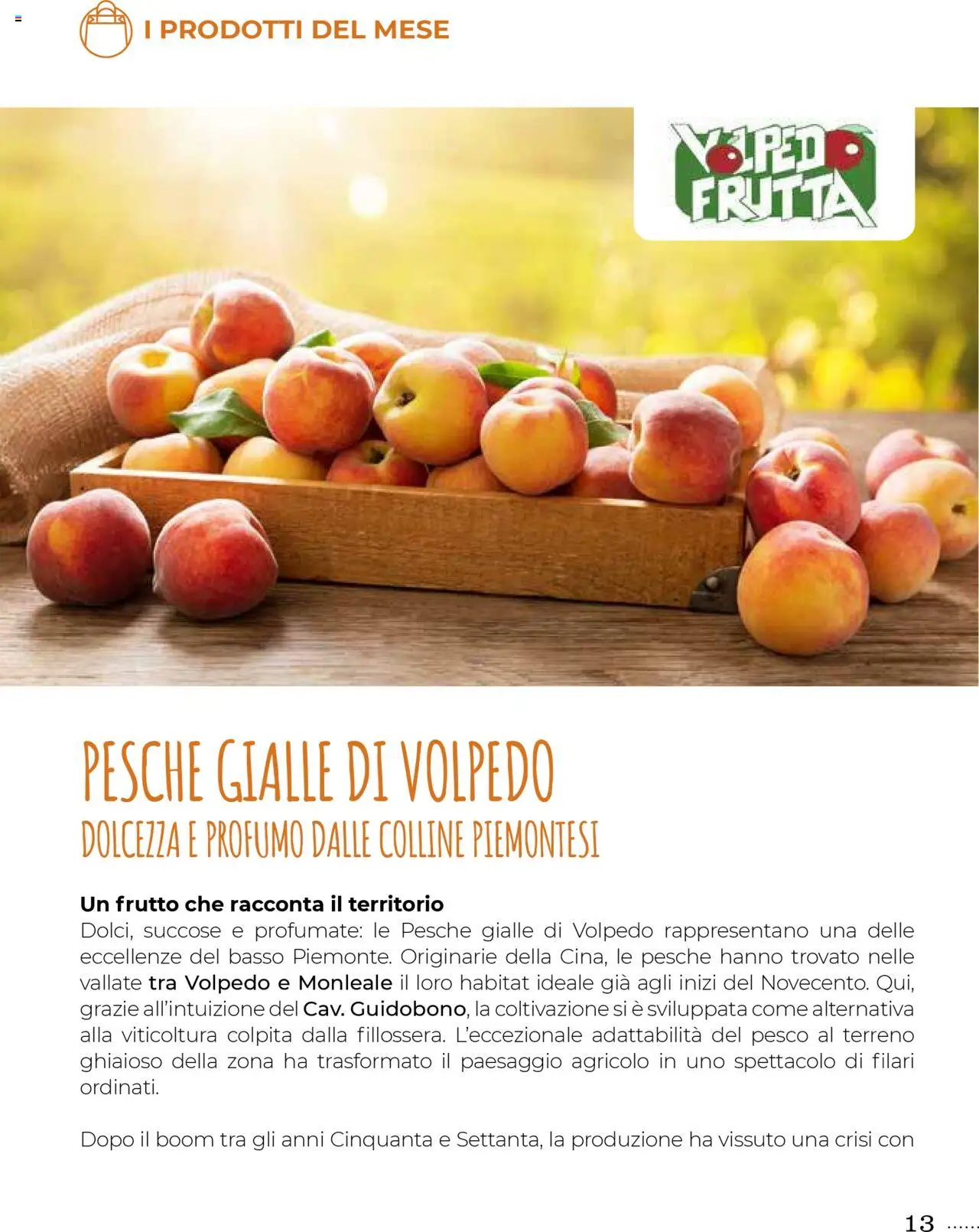 Gulliver Gulli catalogo - pagina 13 - valido dal 27/06/2025