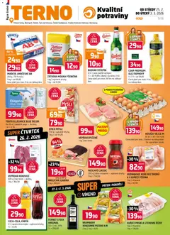Náhled Terno leták platný od 25.02.2026