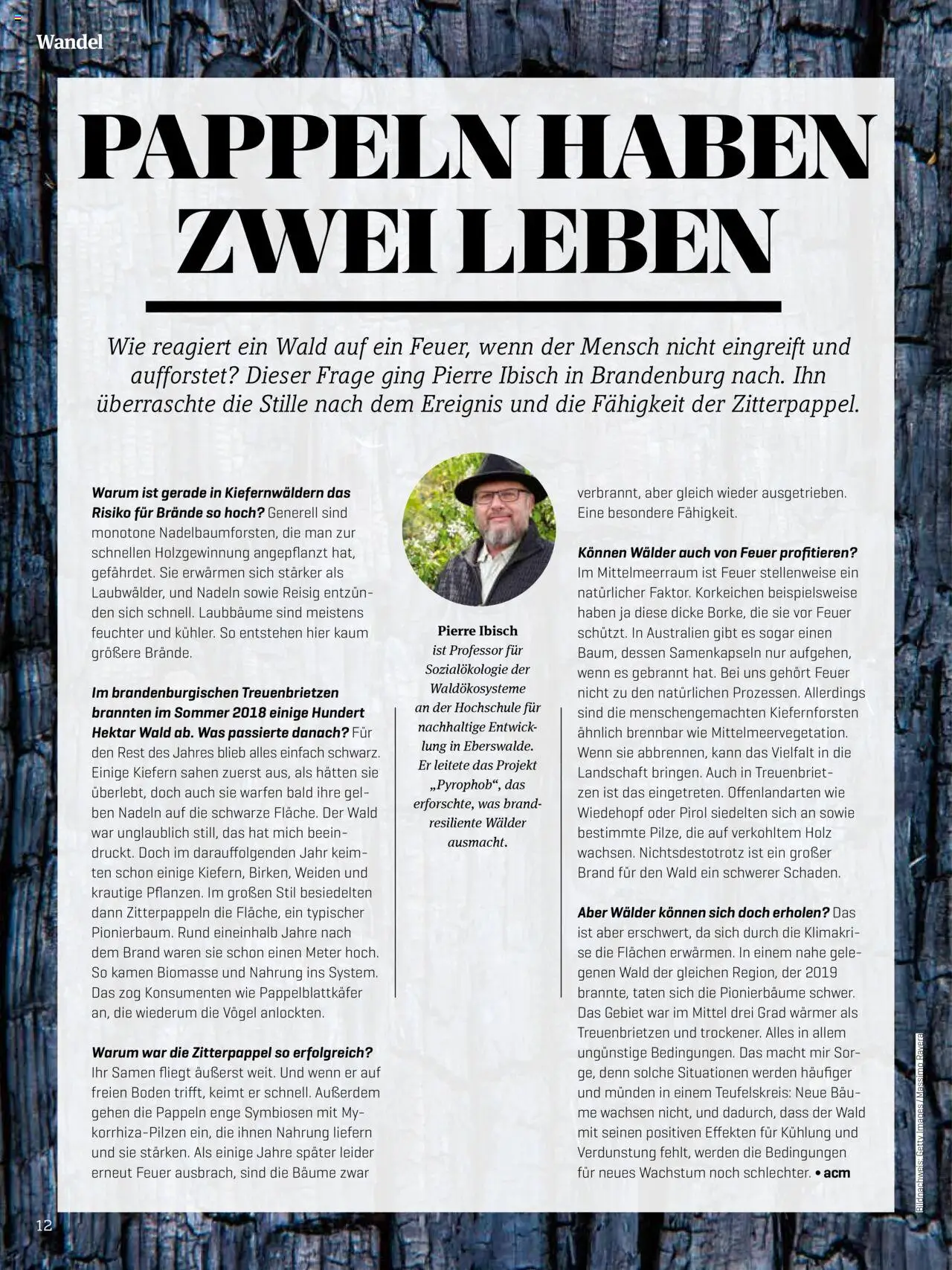 Denns BioMarkt KREO Magazin - Seite 12- gültig ab 14.07.2025