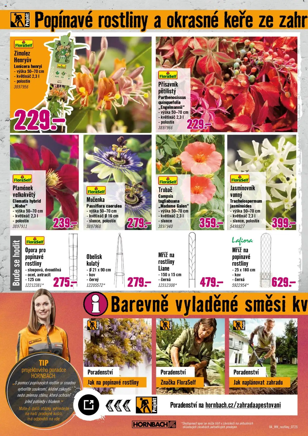 HORNBACH leták - Rostliny lákající hmyz - strana 4- platný od 09.07.2025