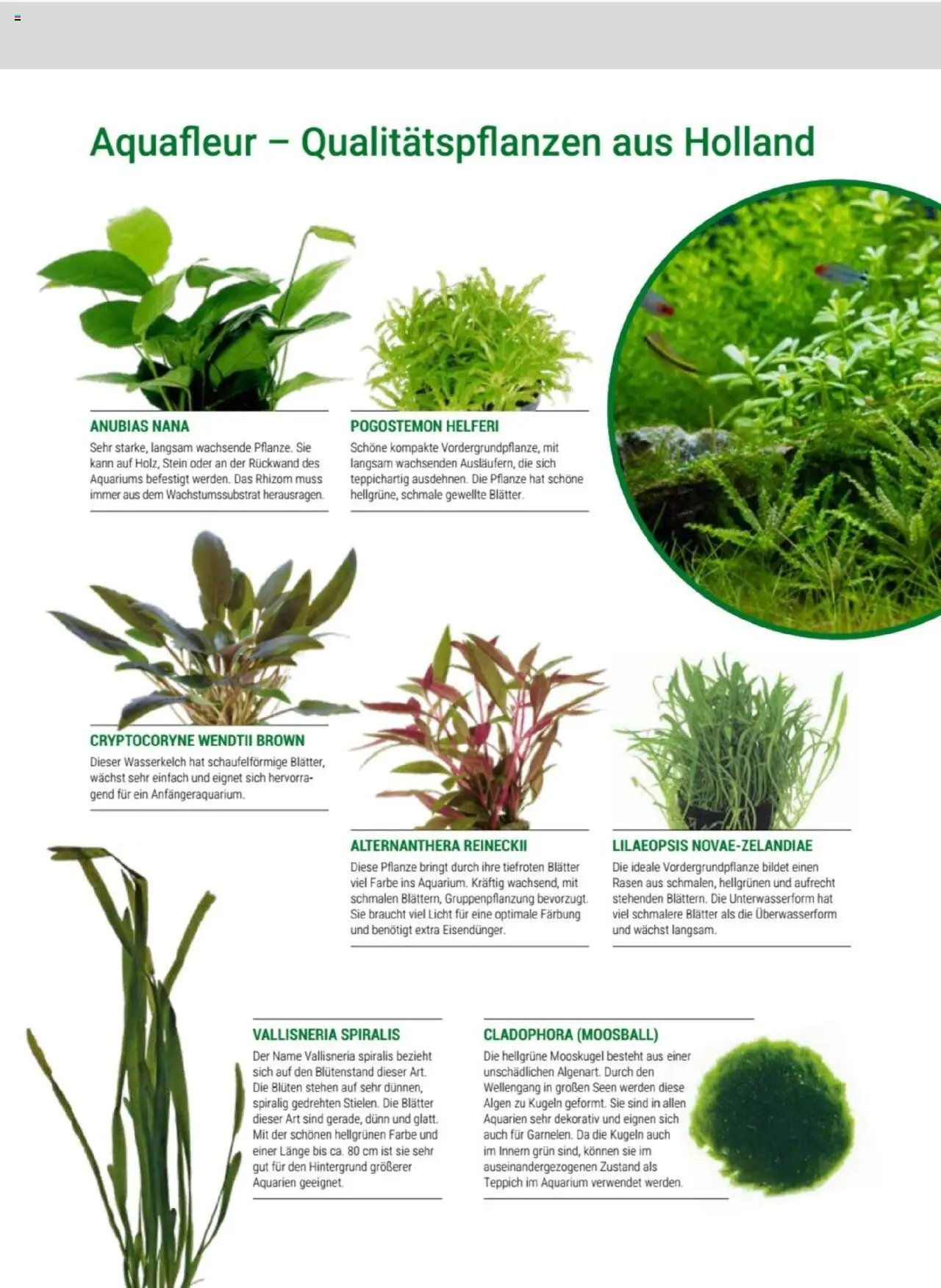 zookauf Themenkatalog Aquaristik - Seite 31 - gültig ab 01.10.2025