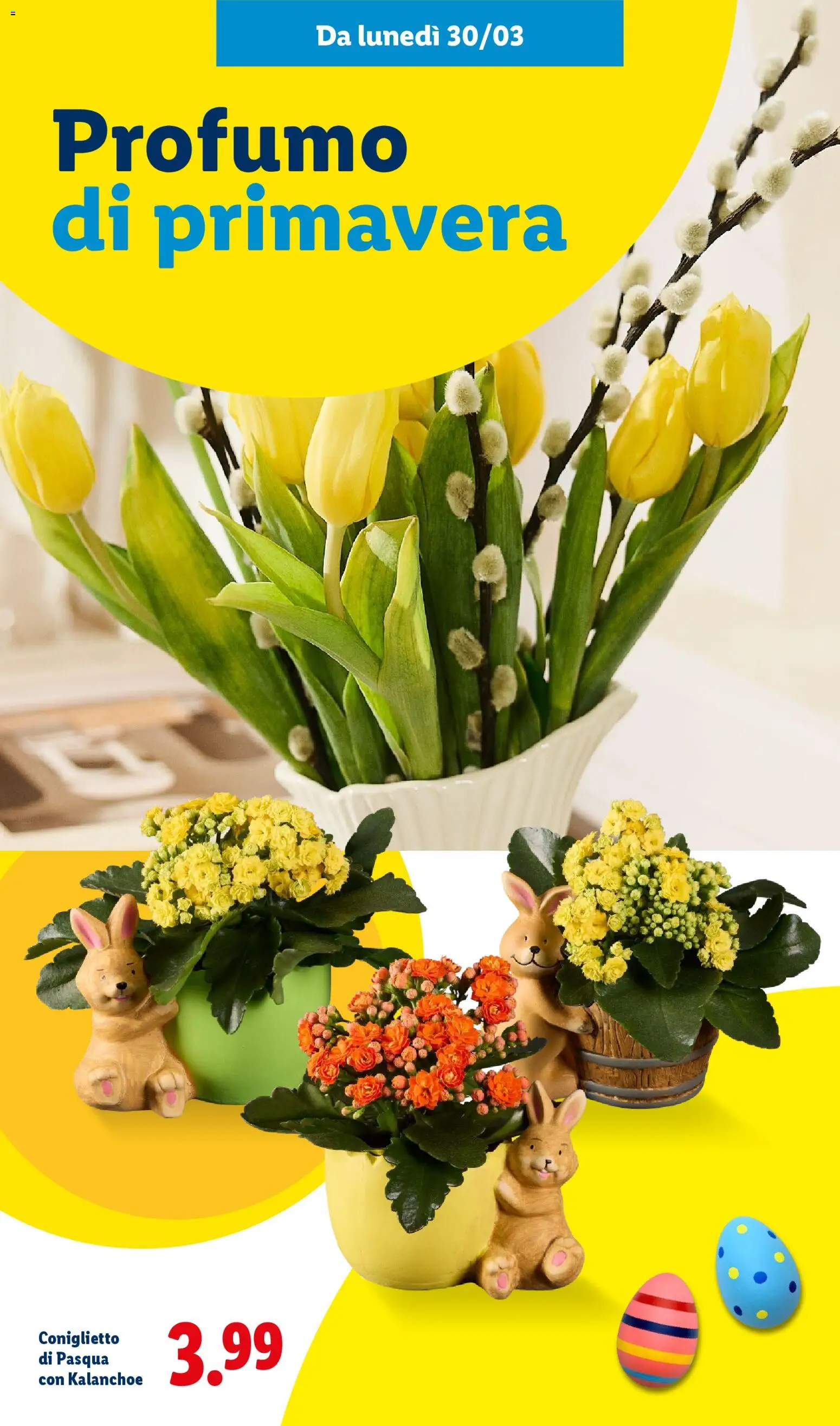 Lidl volantino Vale davvero - pagina 45 - valido dal 27/02/2026