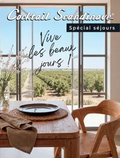 Aperçu Cocktail Scandinave catalogue valable à partir du 26/04/2026