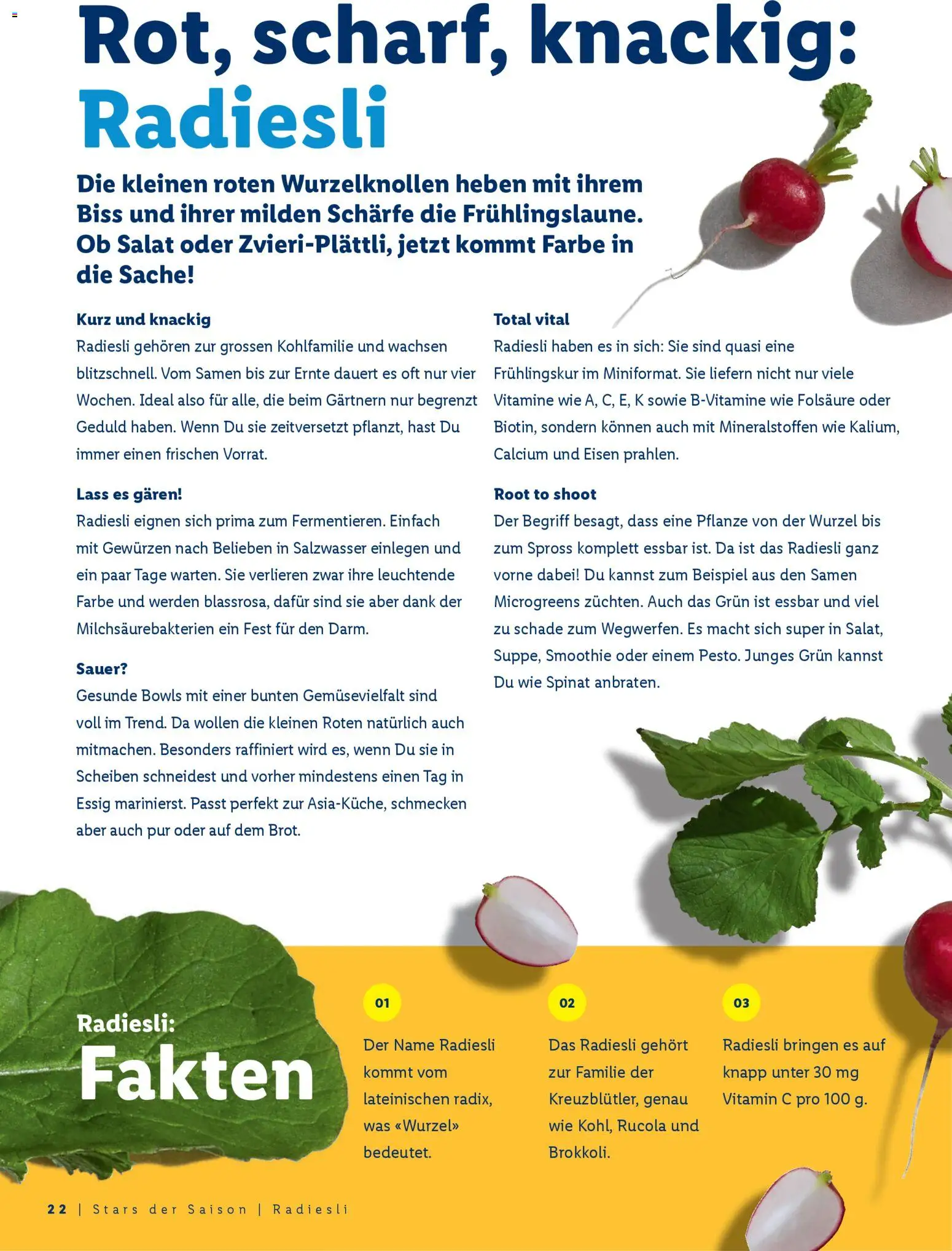 Lidl Aktionen Ostern - page 22- valid from 26.02.2026
