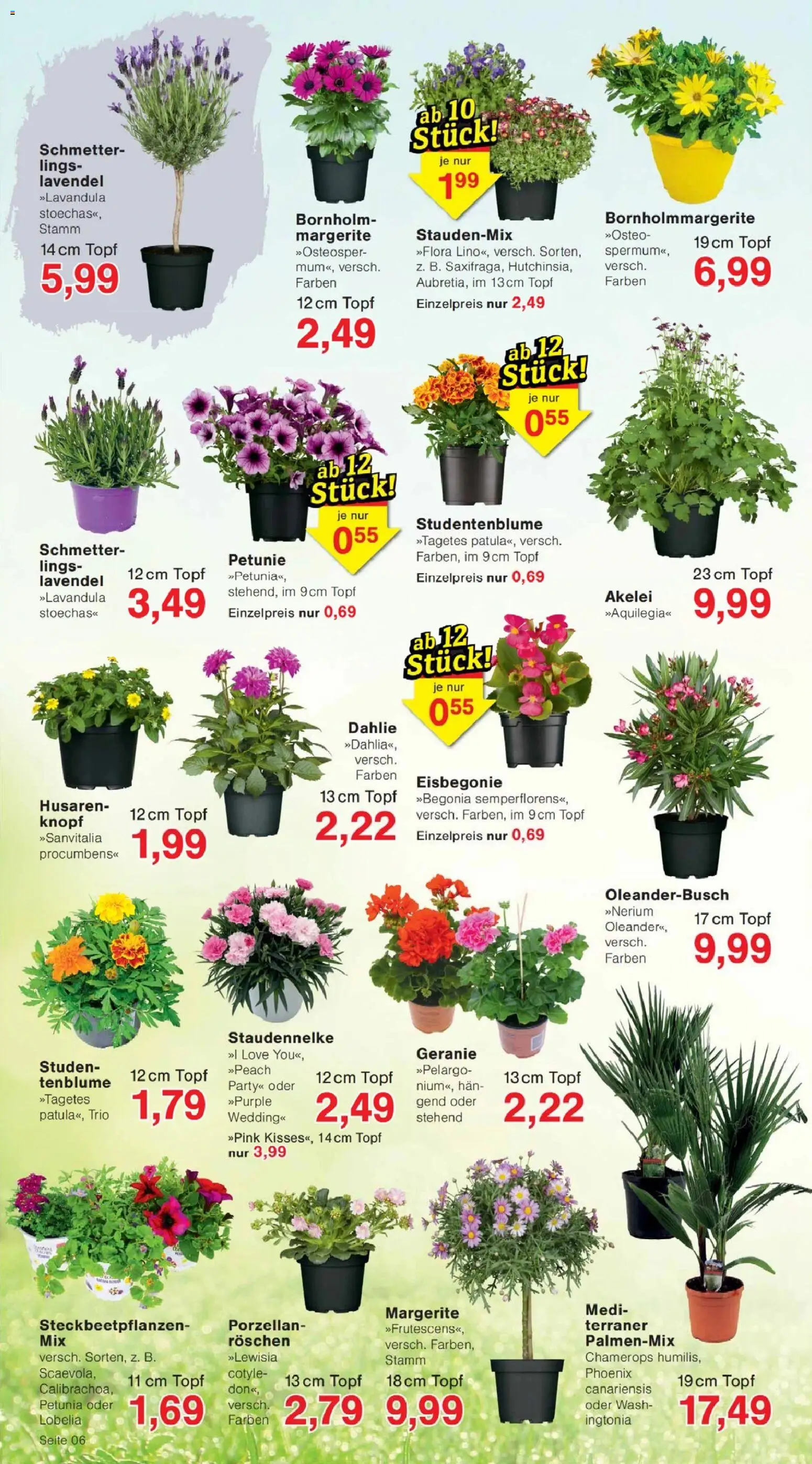 Jawoll Prospekt - Seite 6 - gültig ab 27.04.2026