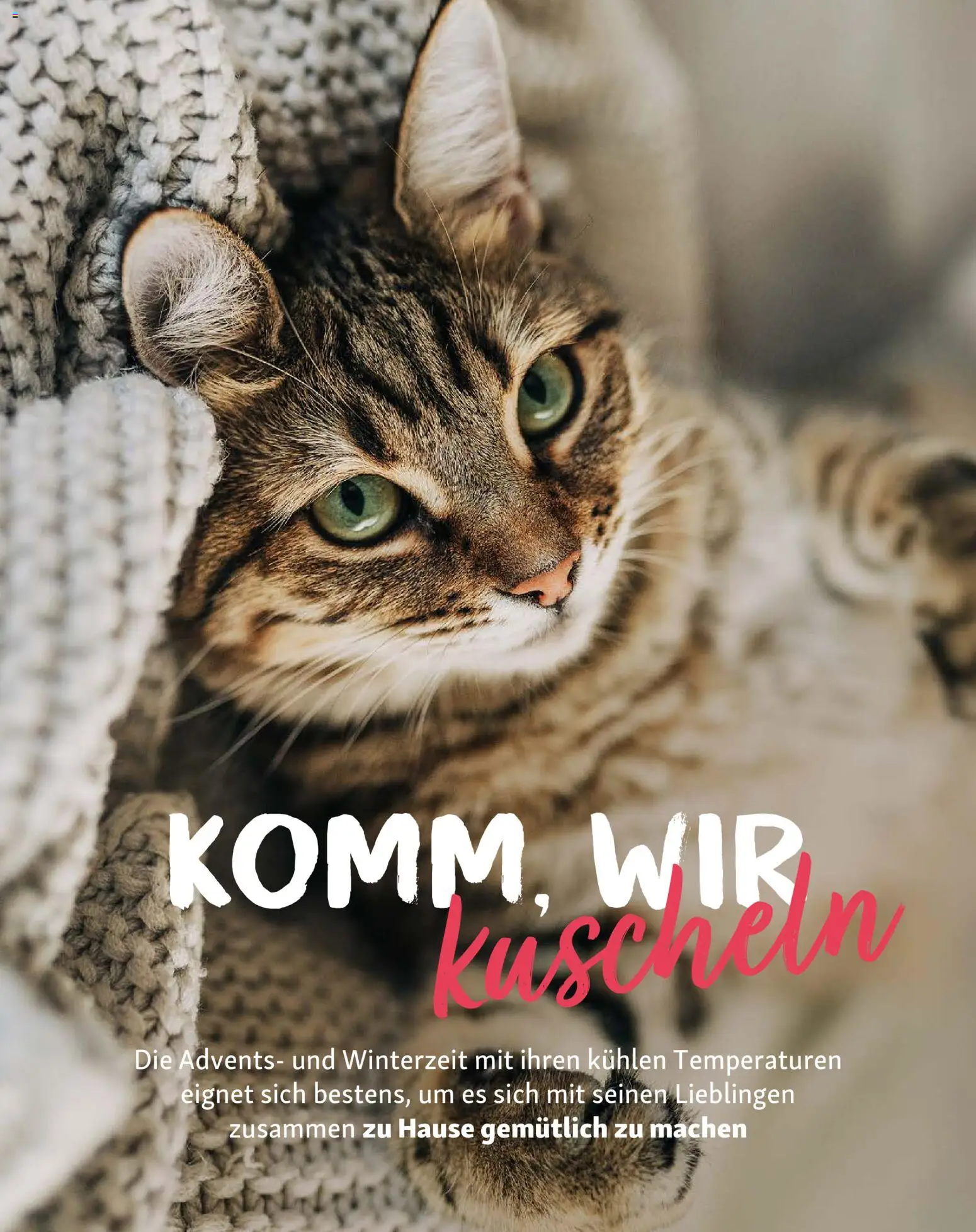 Fressnapf Friends Magazin - Seite 11 - gültig ab 01.11.2025