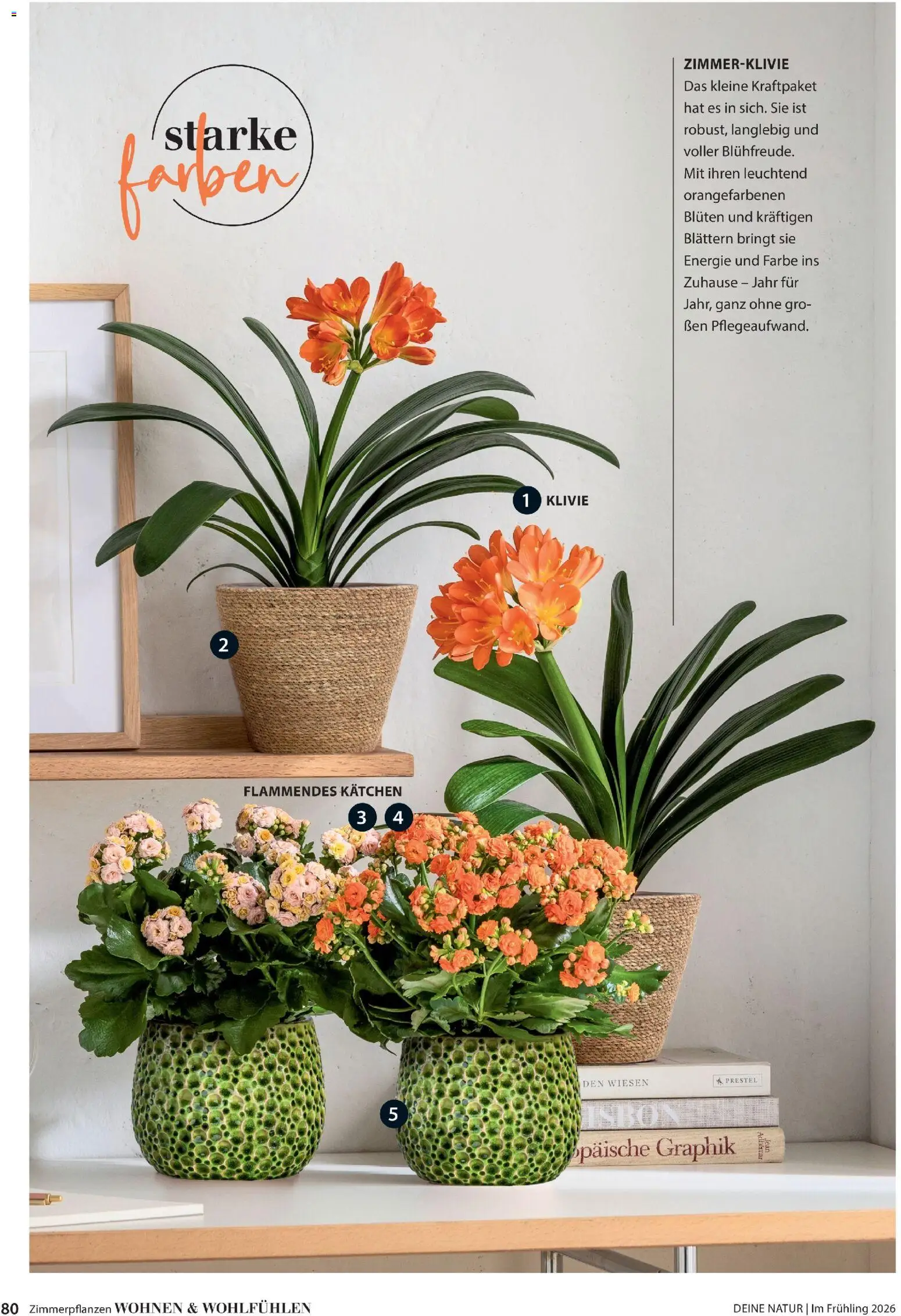 Dehner Flugblatt - page 80- valid from 05.03.2026