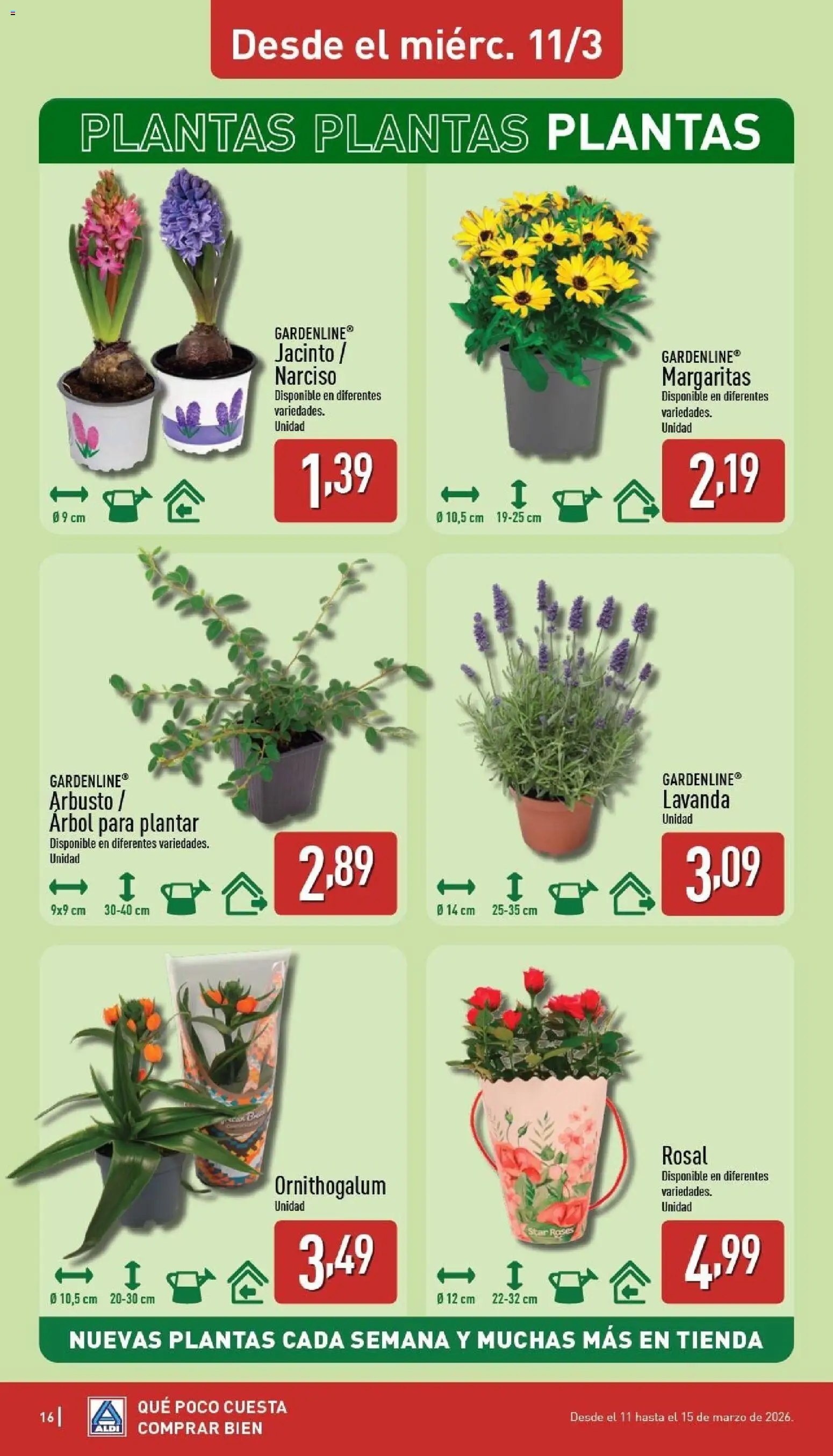 Aldi folleto Baleares - Página de 16 - Válido desde 09/03/2026