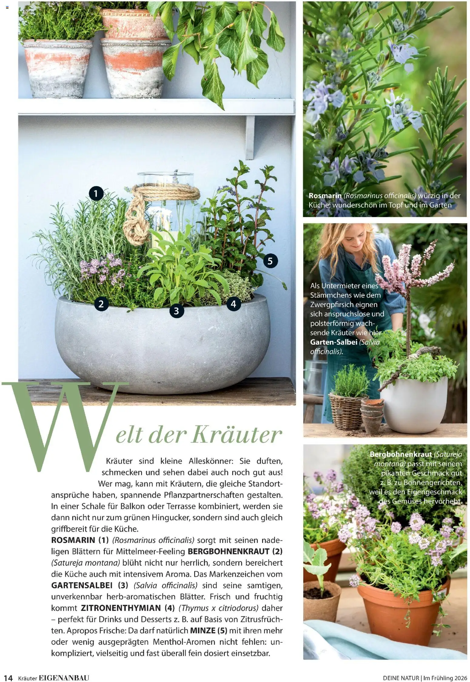 Dehner Prospekt 	 - Seite 14 - gültig ab 04.03.2026