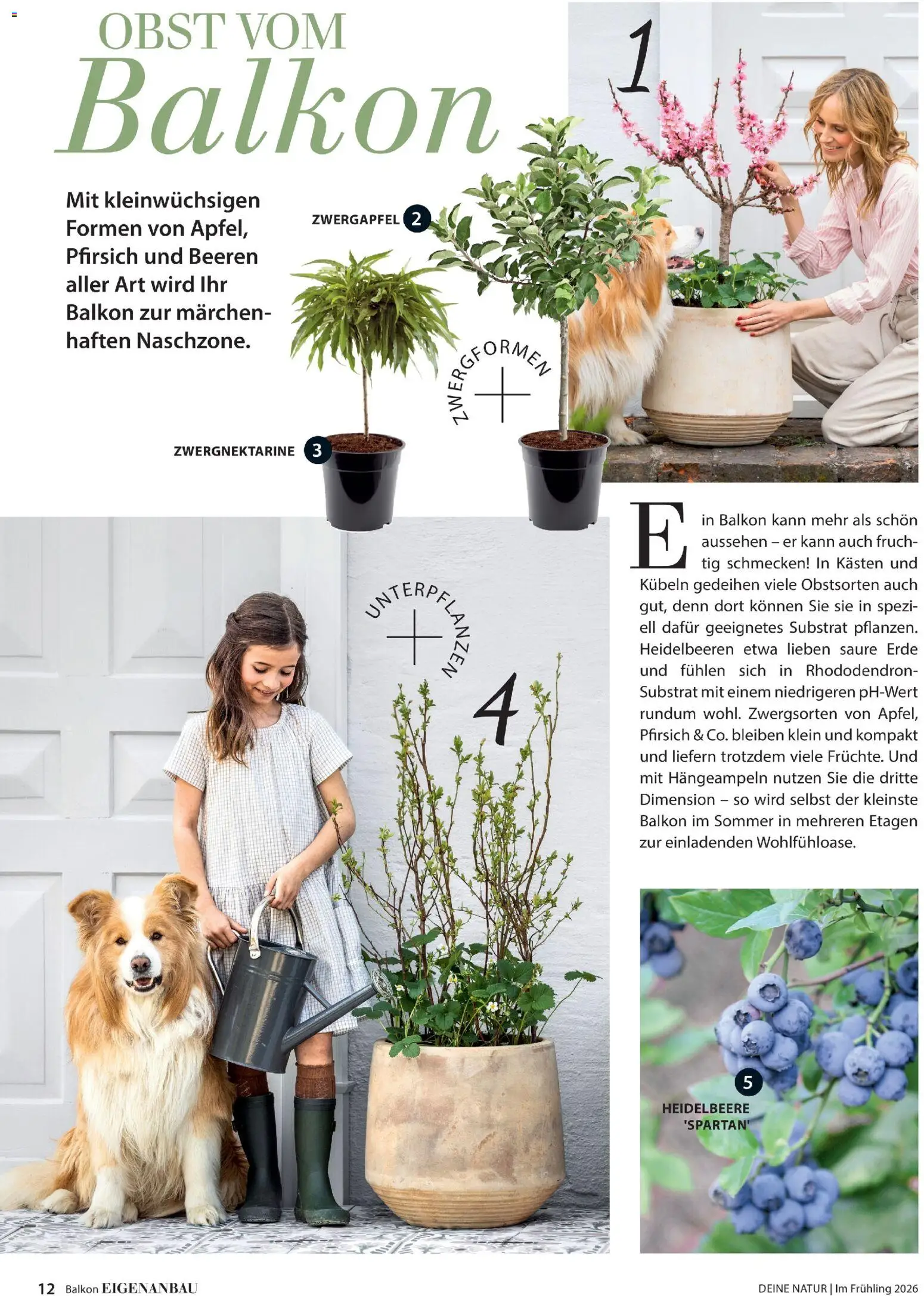 Dehner Flugblatt - page 12- valid from 05.03.2026