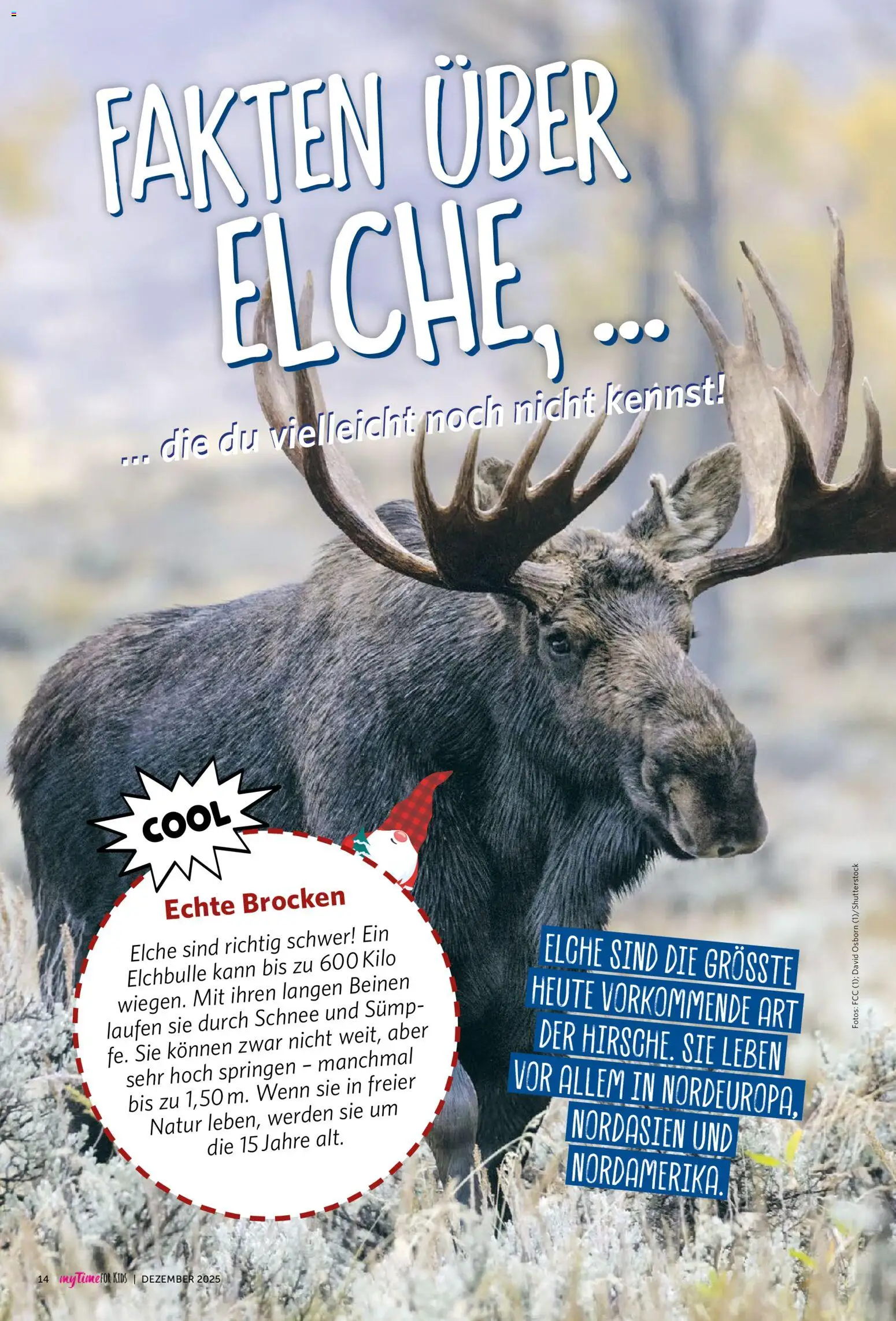 Combi  myTime Dezember 2025 - Seite 98 - gültig ab 01.12.2025