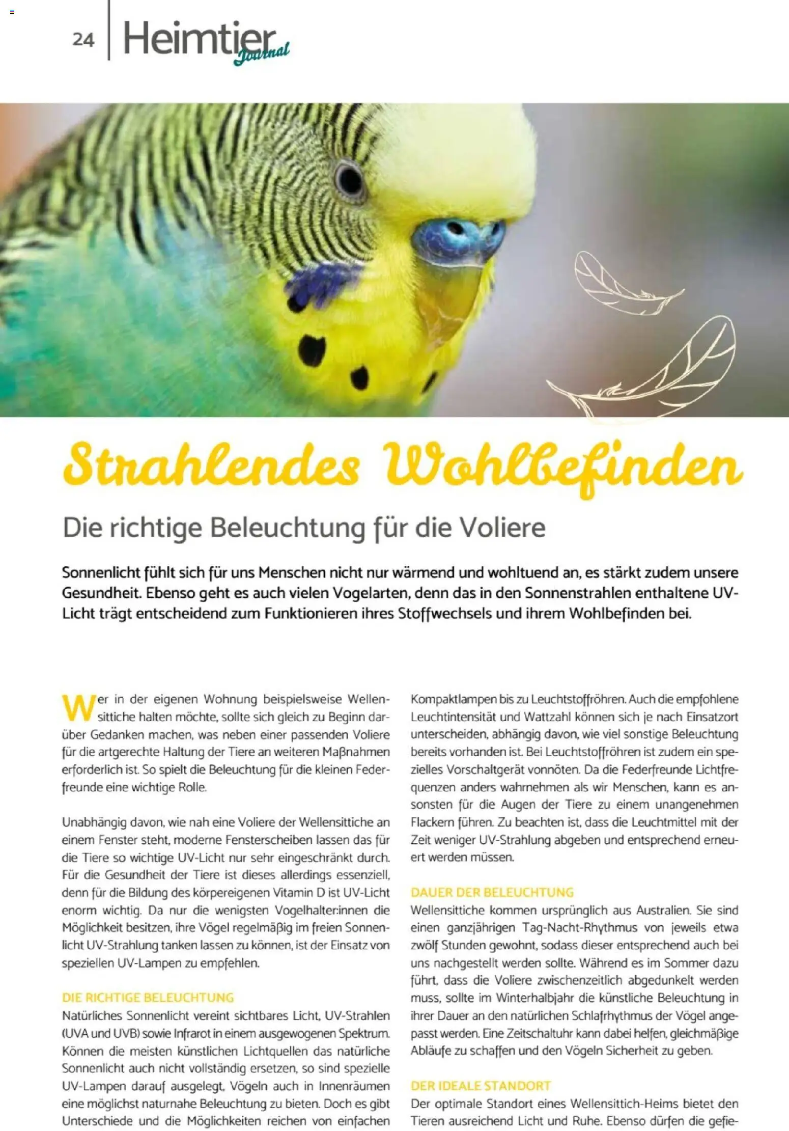 zookauf  Heimtier Journal - Seite 24 - gültig ab 01.02.2026