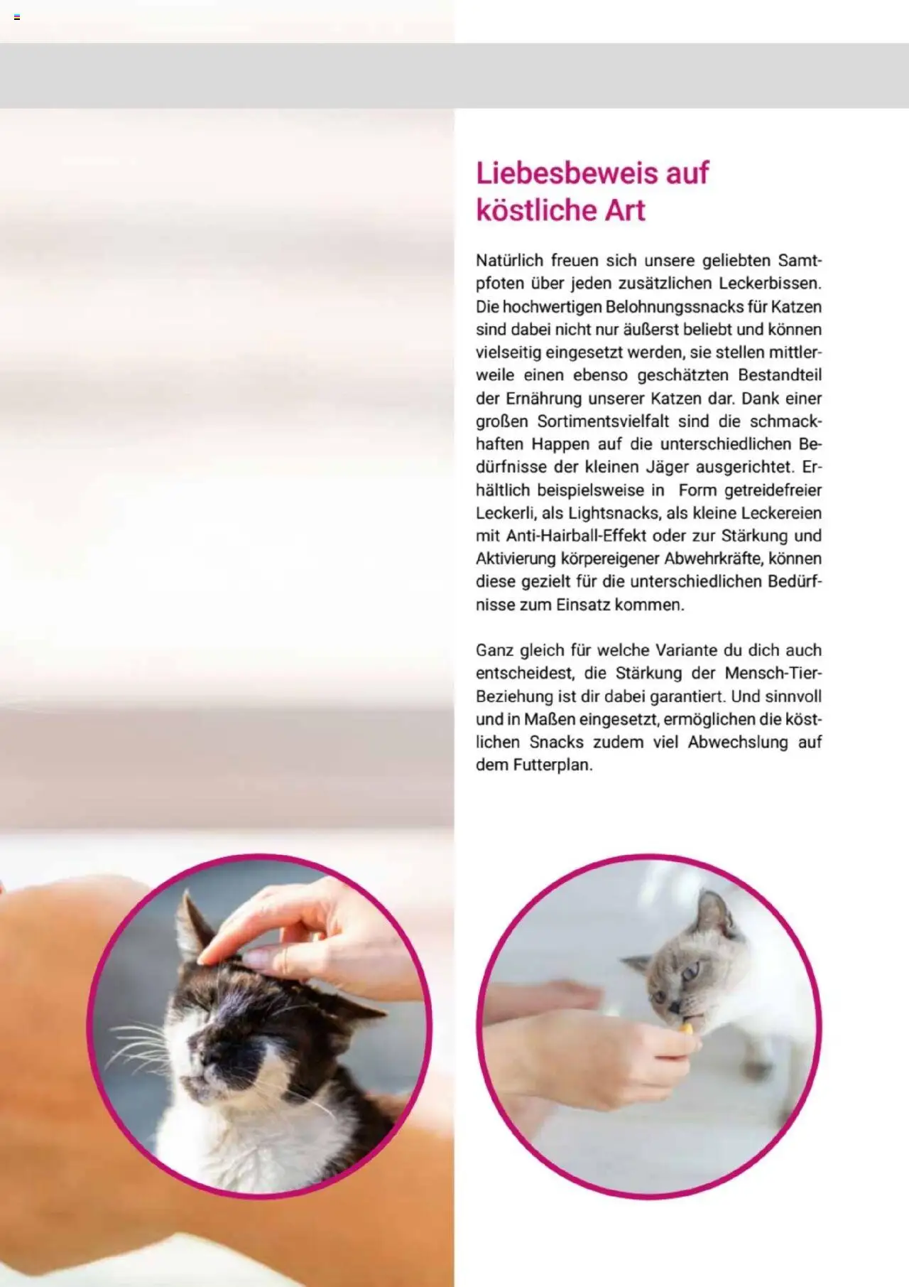 zookauf Themenkatalog Katze - Seite 53 - gültig ab 01.10.2025