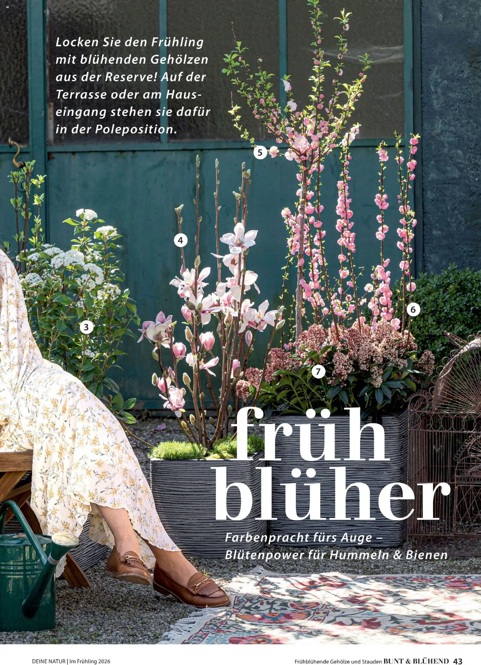 Dehner Flugblatt - page 43- valid from 05.03.2026