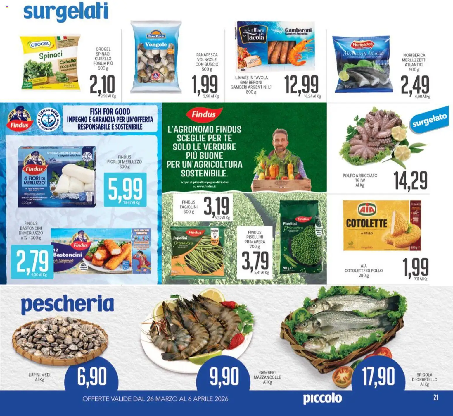 Piccolo volantino - pagina 21 - valido dal 26/03/2026