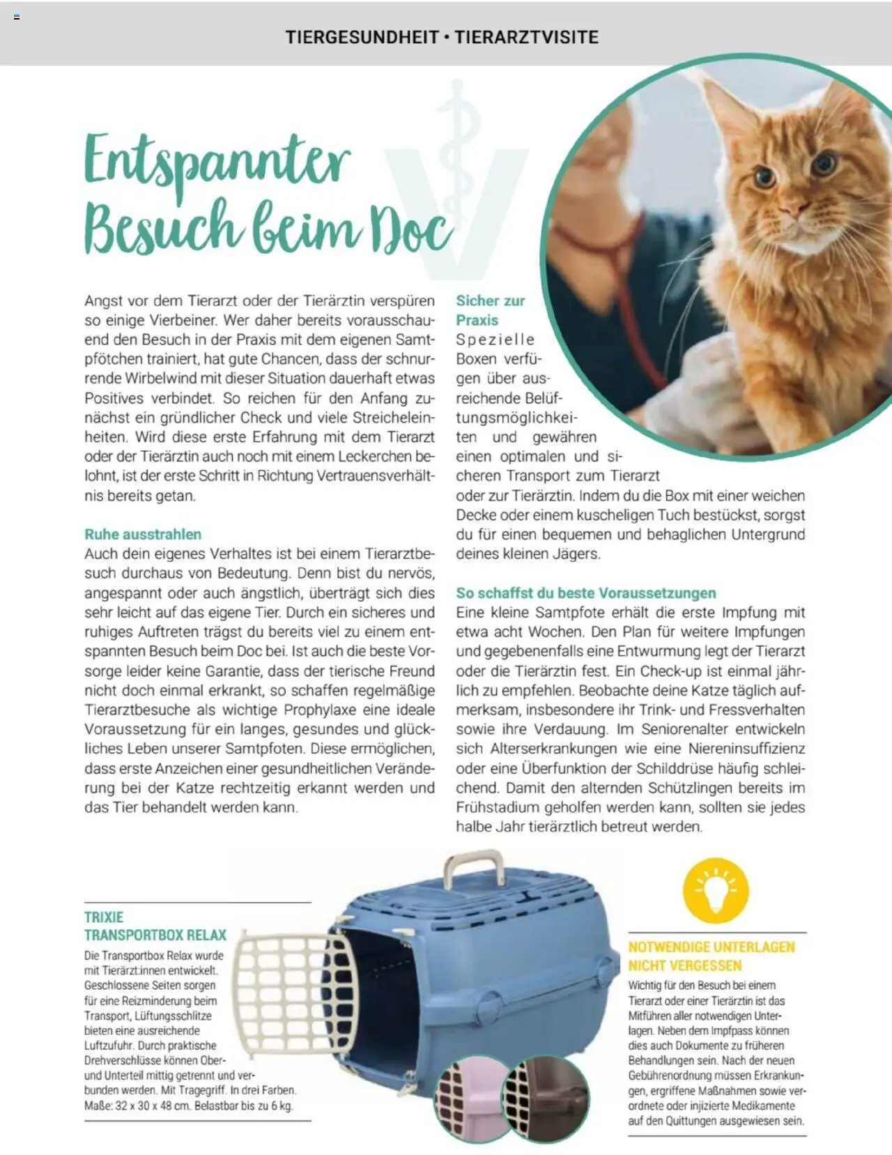 zookauf Themenkatalog Katze - Seite 31 - gültig ab 01.10.2025