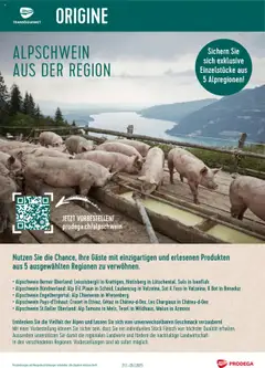 Vorschau Prodega Aktionen Alpschwein aus der Region gültig ab 21.07.2025