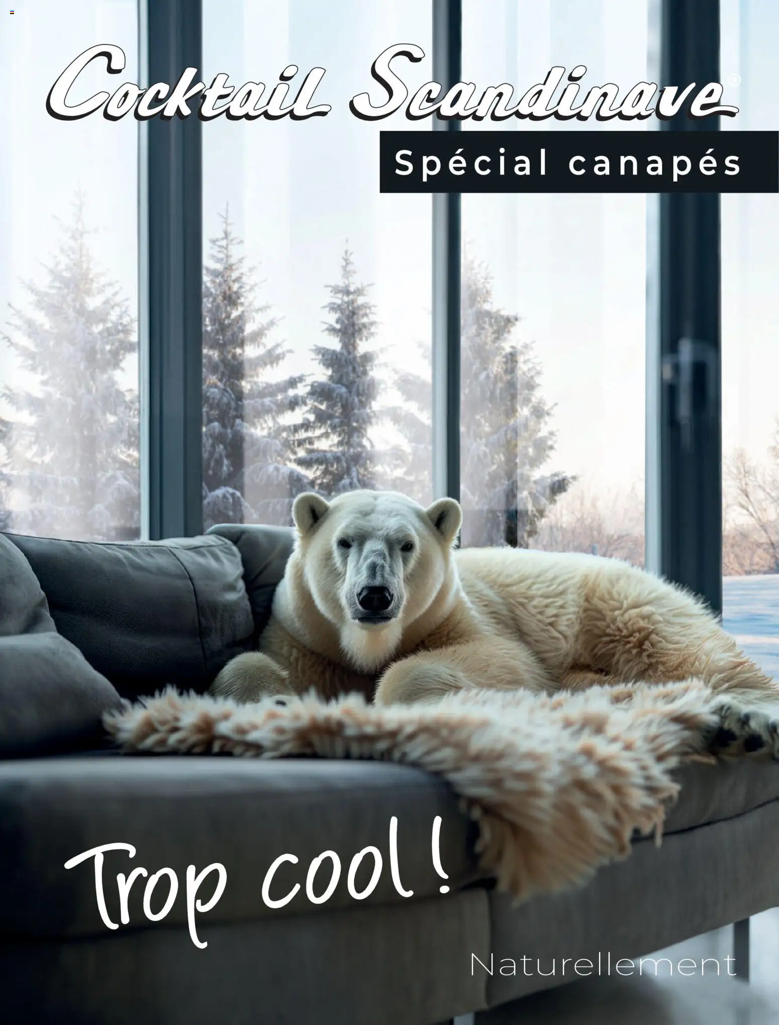 Cocktail Scandinave catalogue - page 1 - valable à partir du 18/02/2026