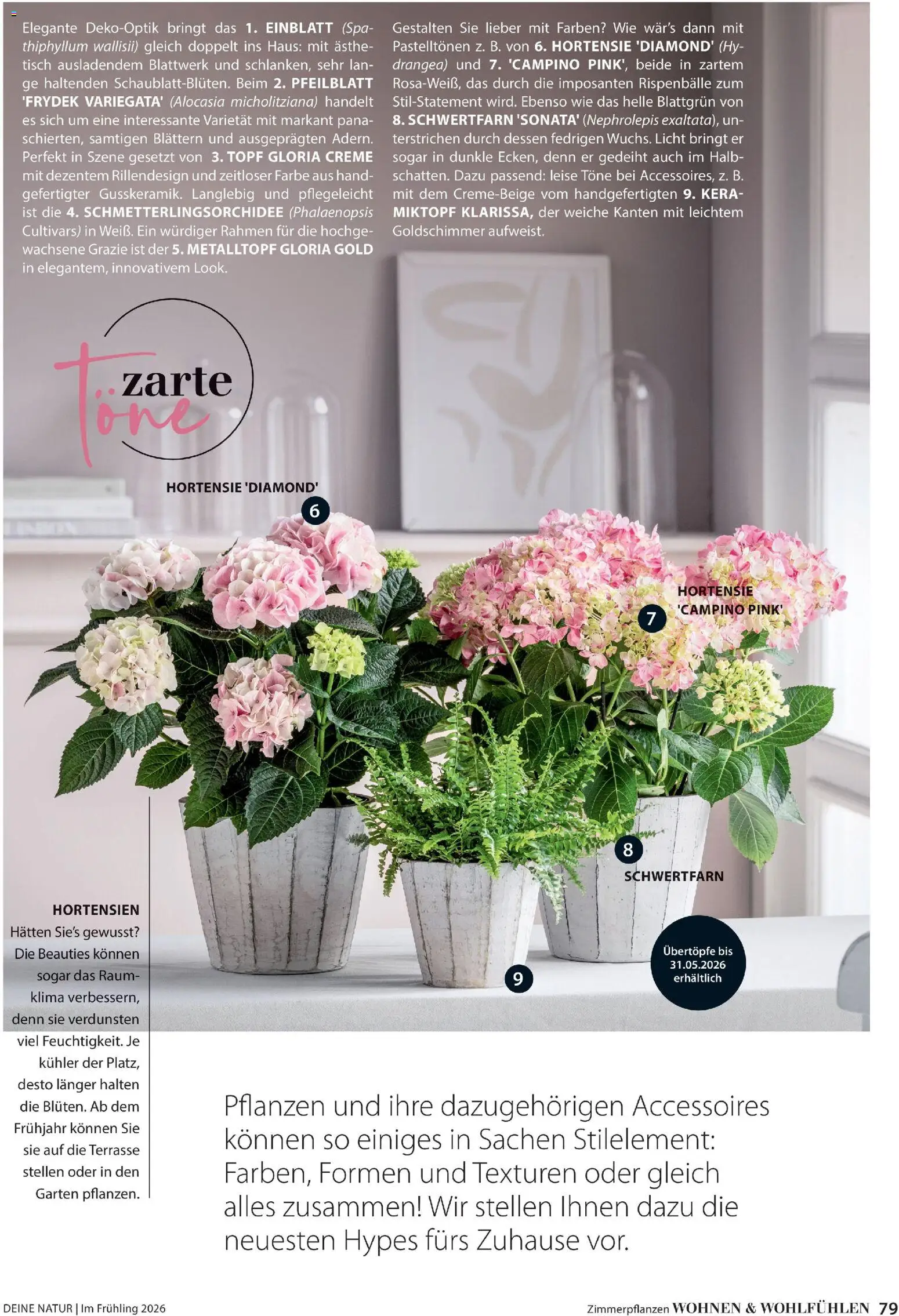 Dehner Flugblatt - page 79- valid from 05.03.2026