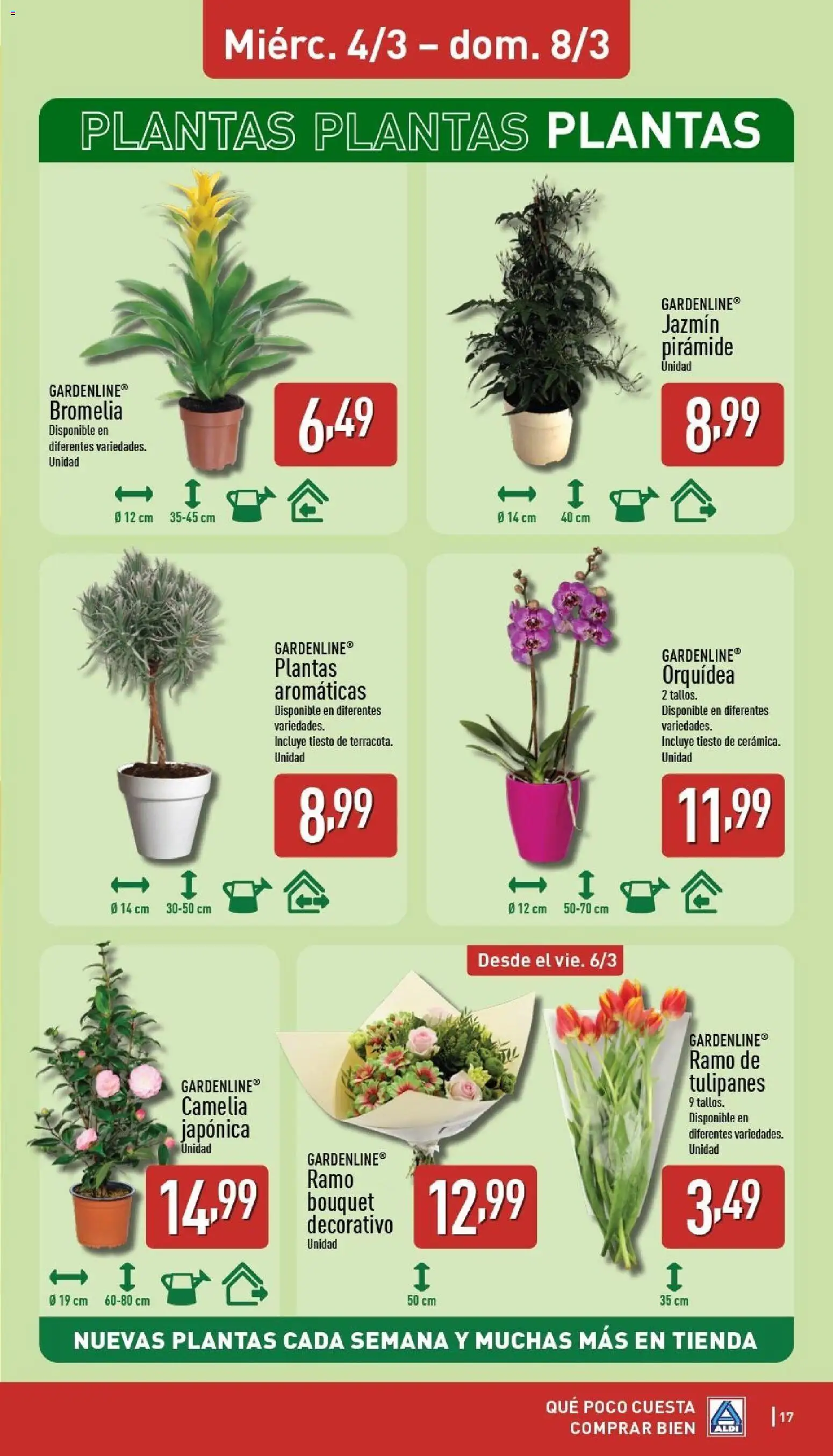 Aldi folleto Baleares - Página de 17 - Válido desde 02/03/2026