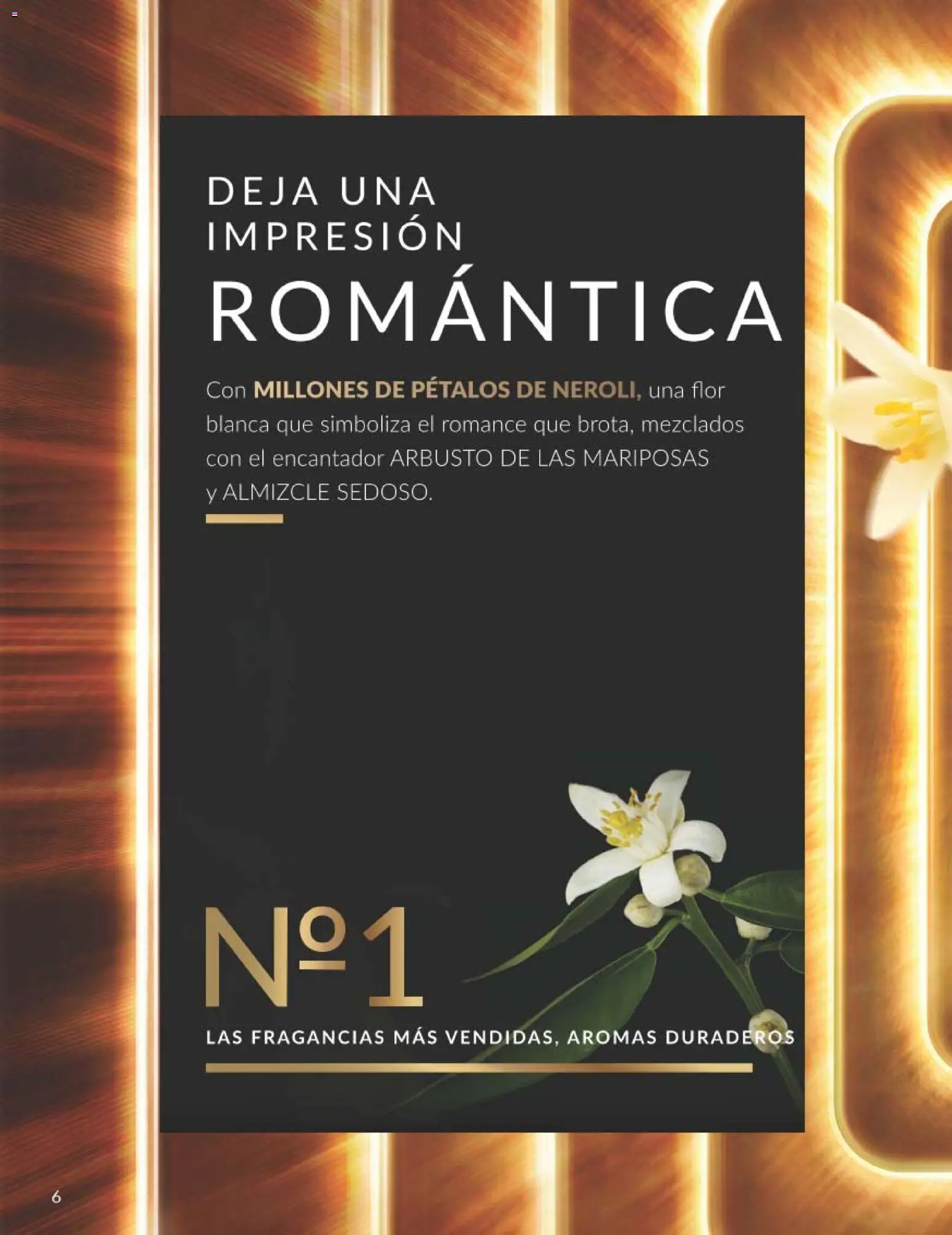 Catálogo AVON campaña 3 - Página de 6 - Válido desde 01/03/2026