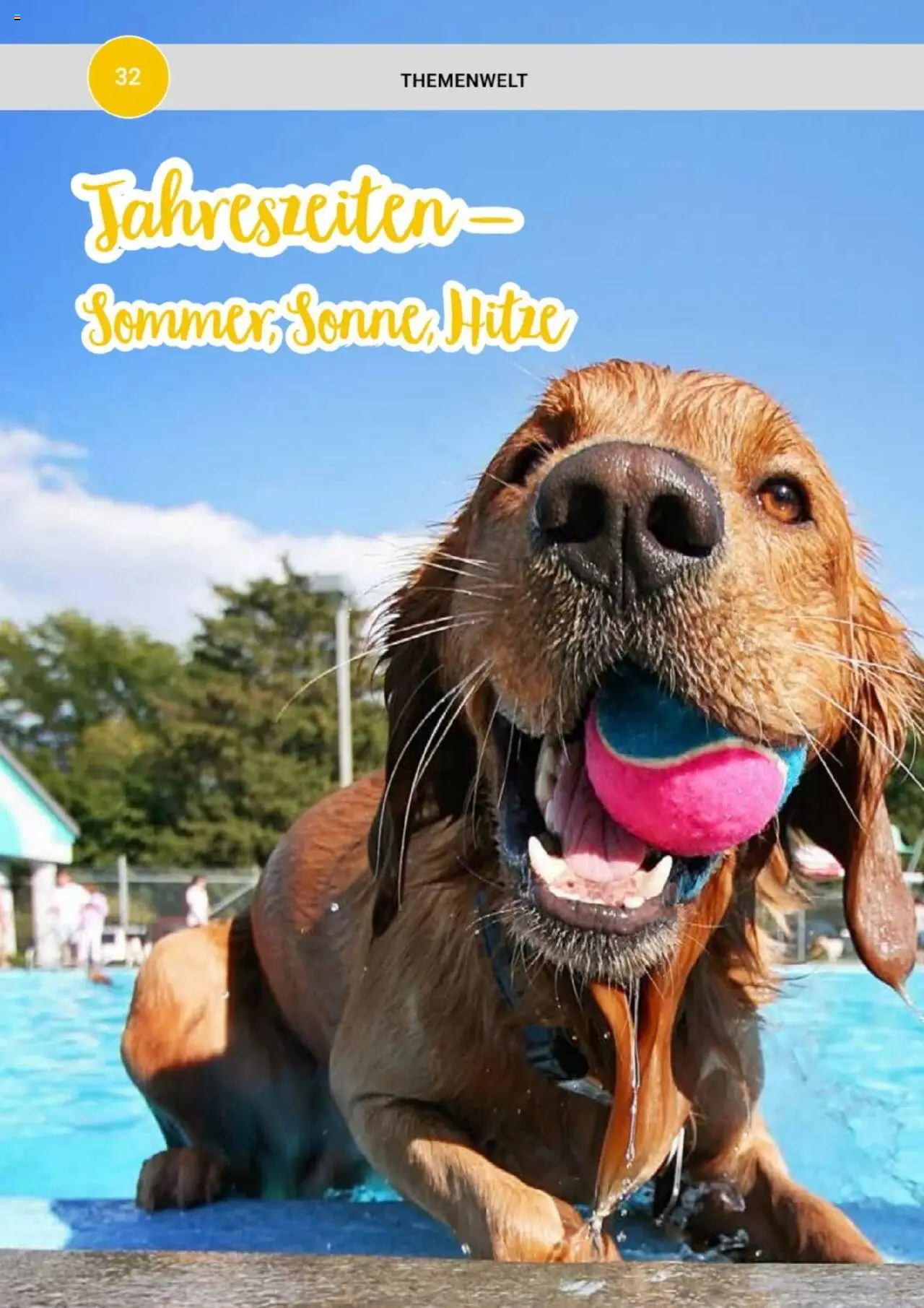 zookauf  Themenkatalog Hund - Seite 32 - gültig ab 20.05.2025