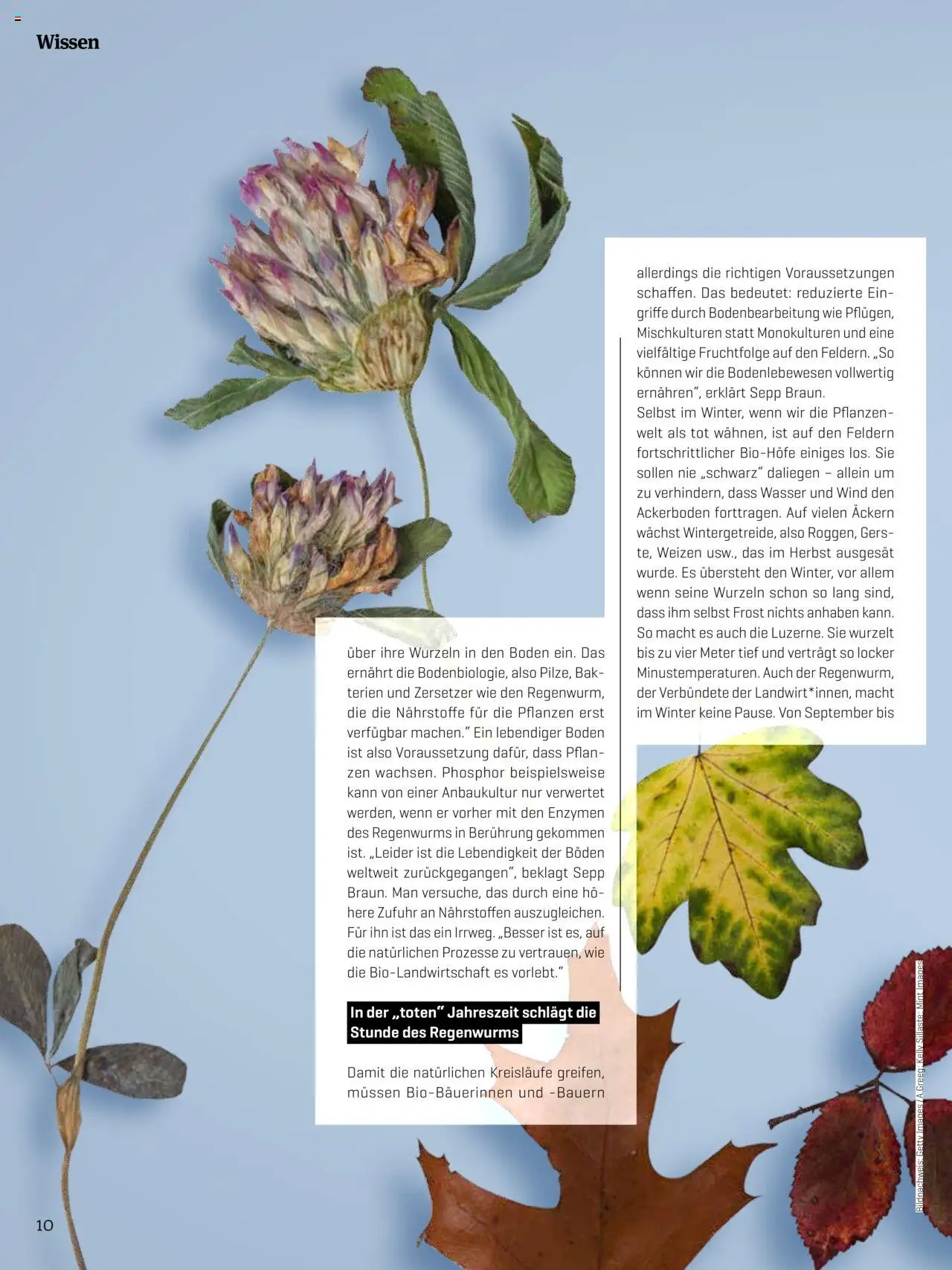 Denns BioMarkt KREO Magazin - Seite 10- gültig ab 14.07.2025