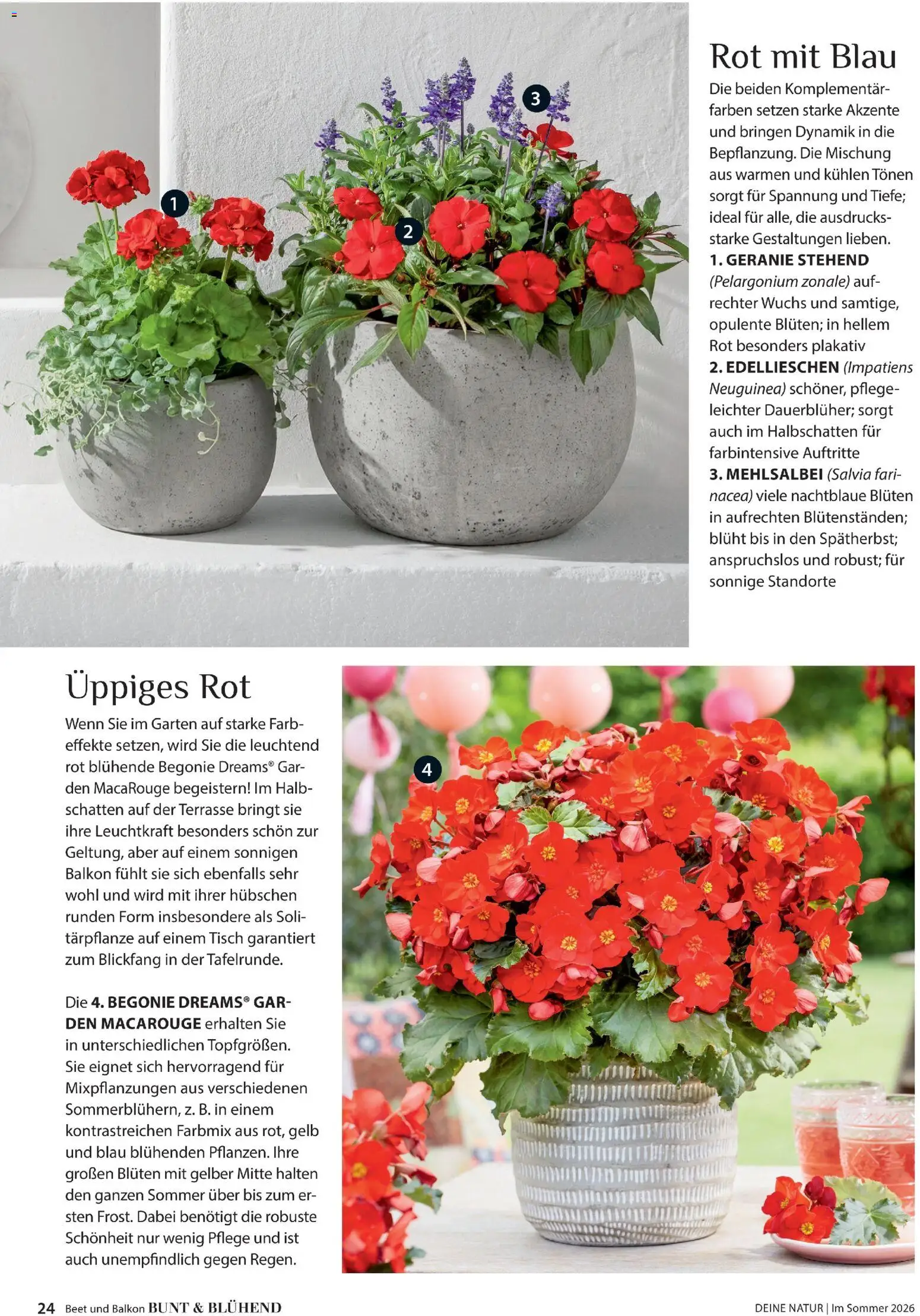 Dehner Prospekt 	 - Seite 24 - gültig ab 17.04.2026