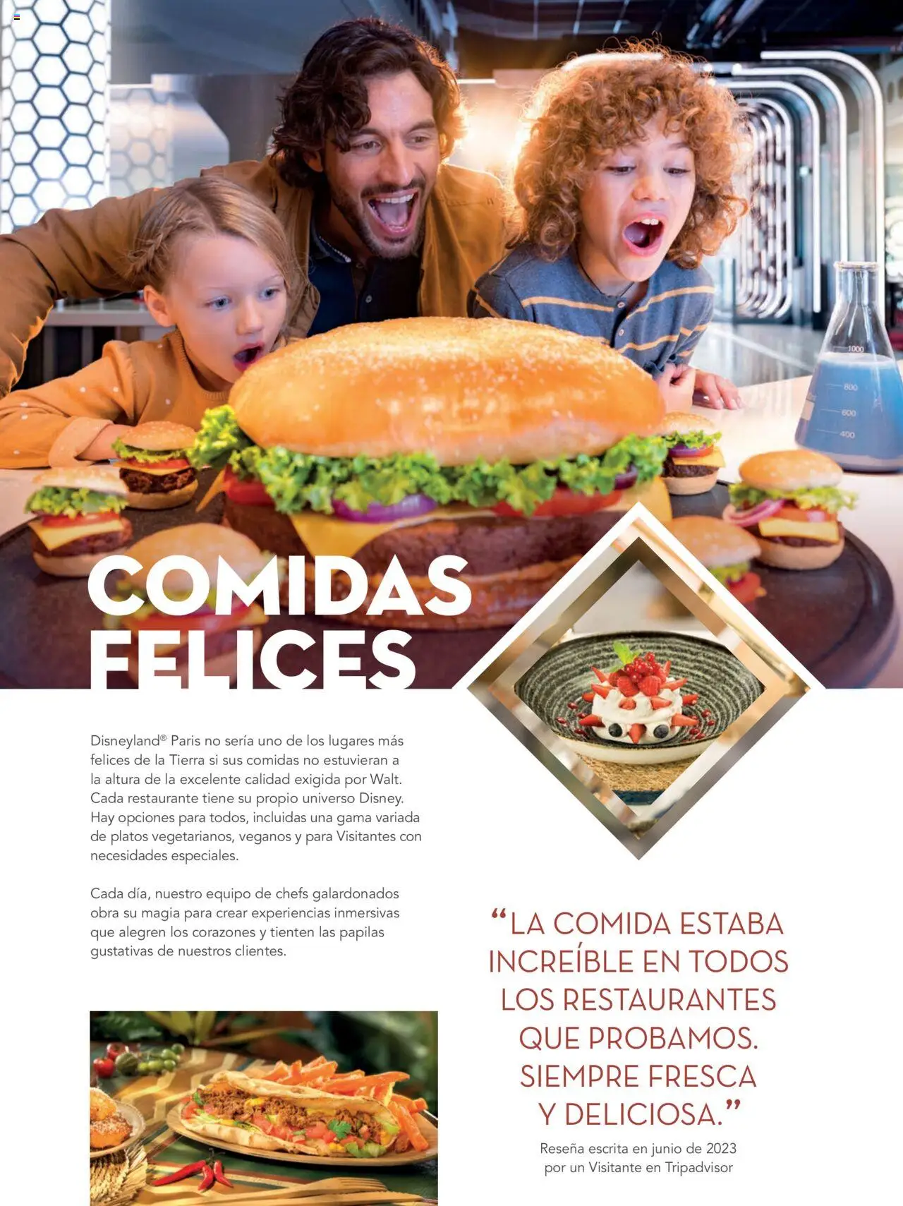 Viajes El Corte Inglés - Disneyland Paris 2025 2026 - Página de 28 - Válido desde 01/04/2025