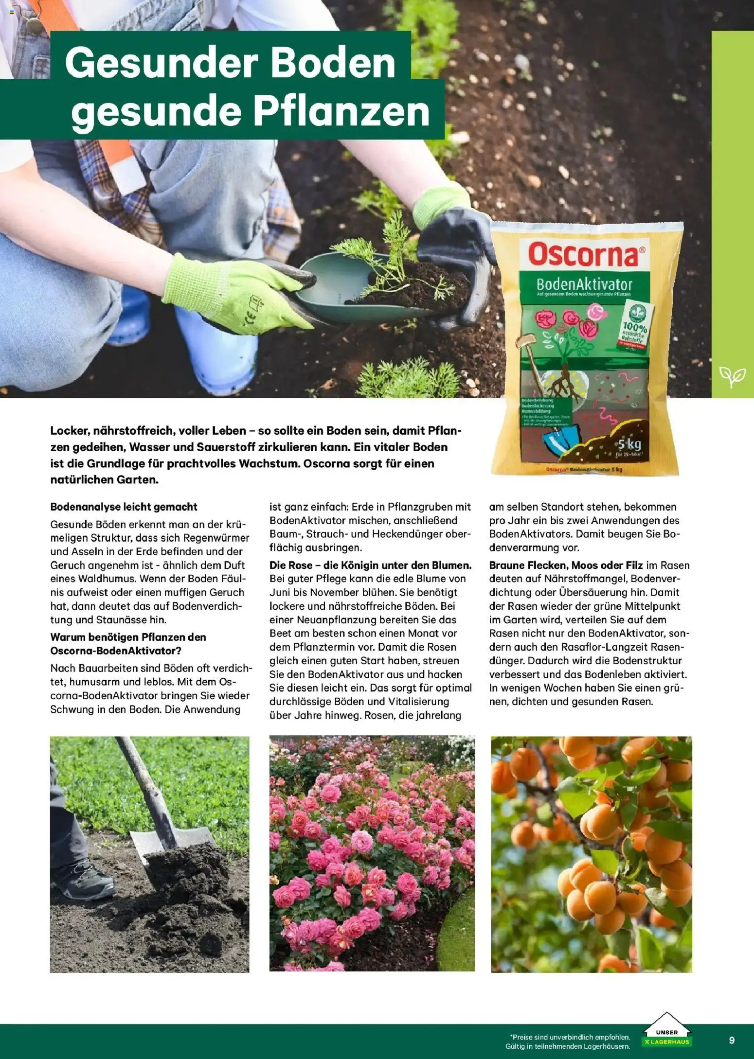 Lagerhaus Garten & Freizeit Katalog 2026 - Wien, Innsbruck - page 9- valid from 01.03.2026