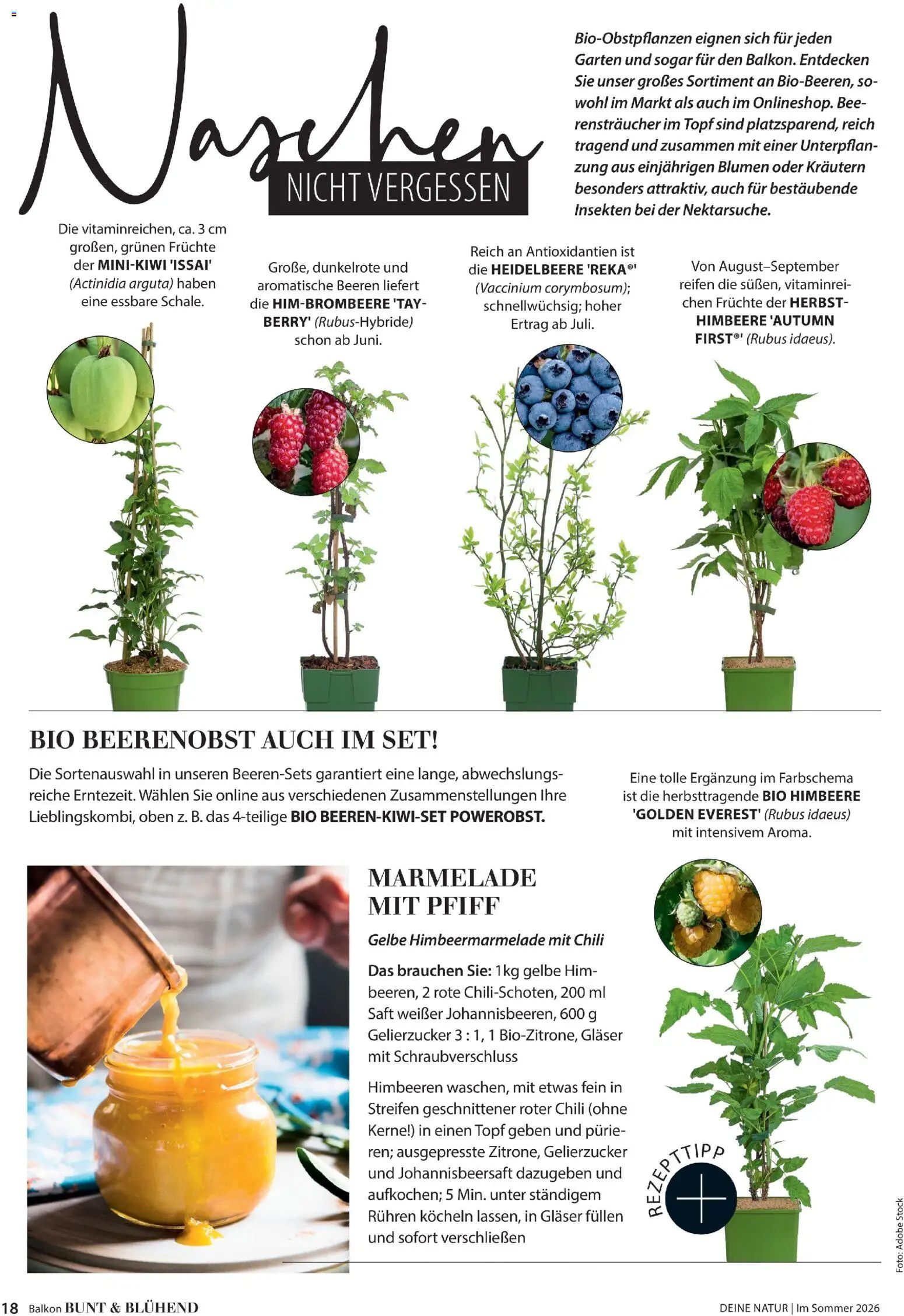 Dehner Prospekt 	 - Seite 18 - gültig ab 17.04.2026