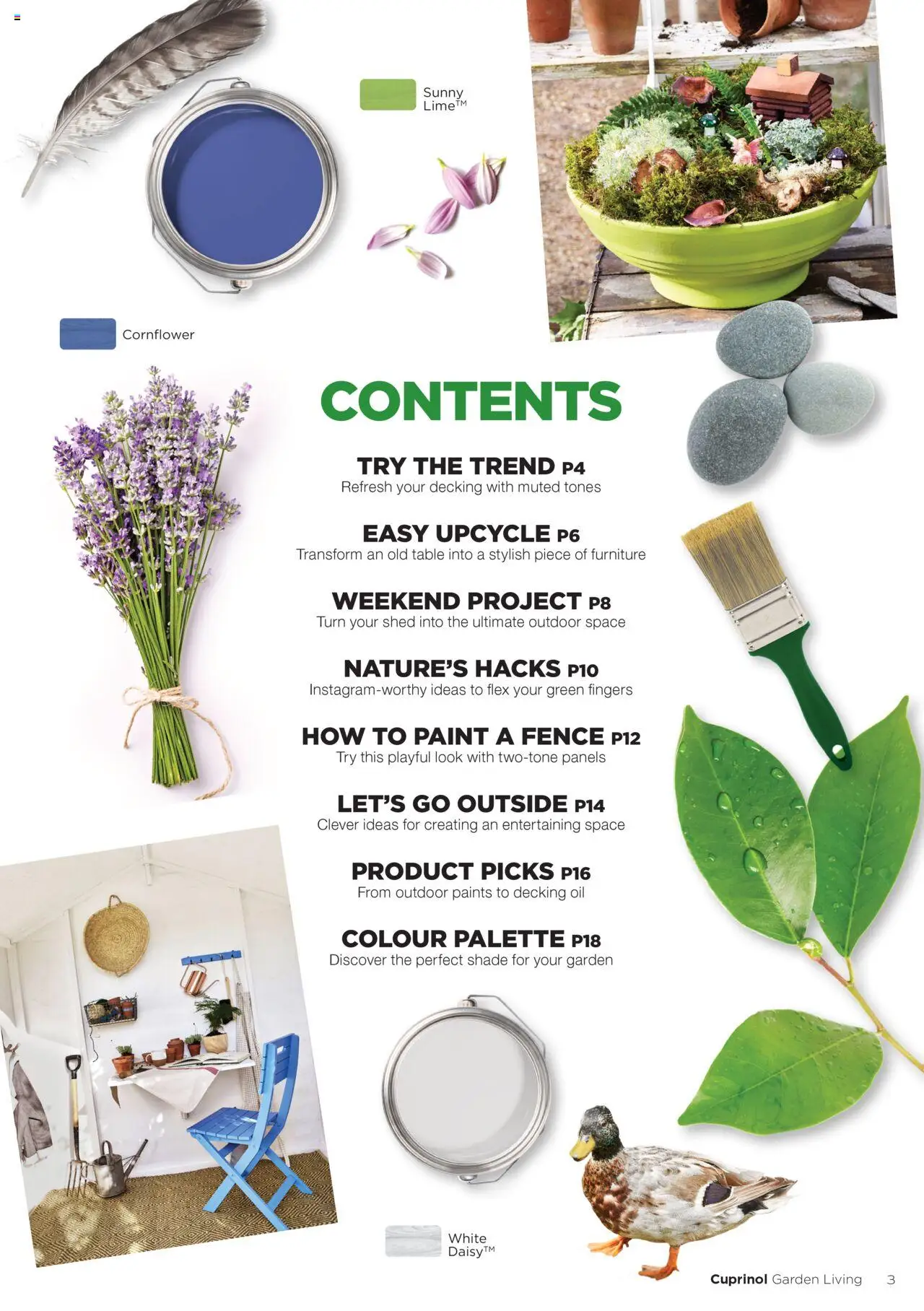 B&Q - Cuprinol Garden Living - page 3- valid from 23/05/2025