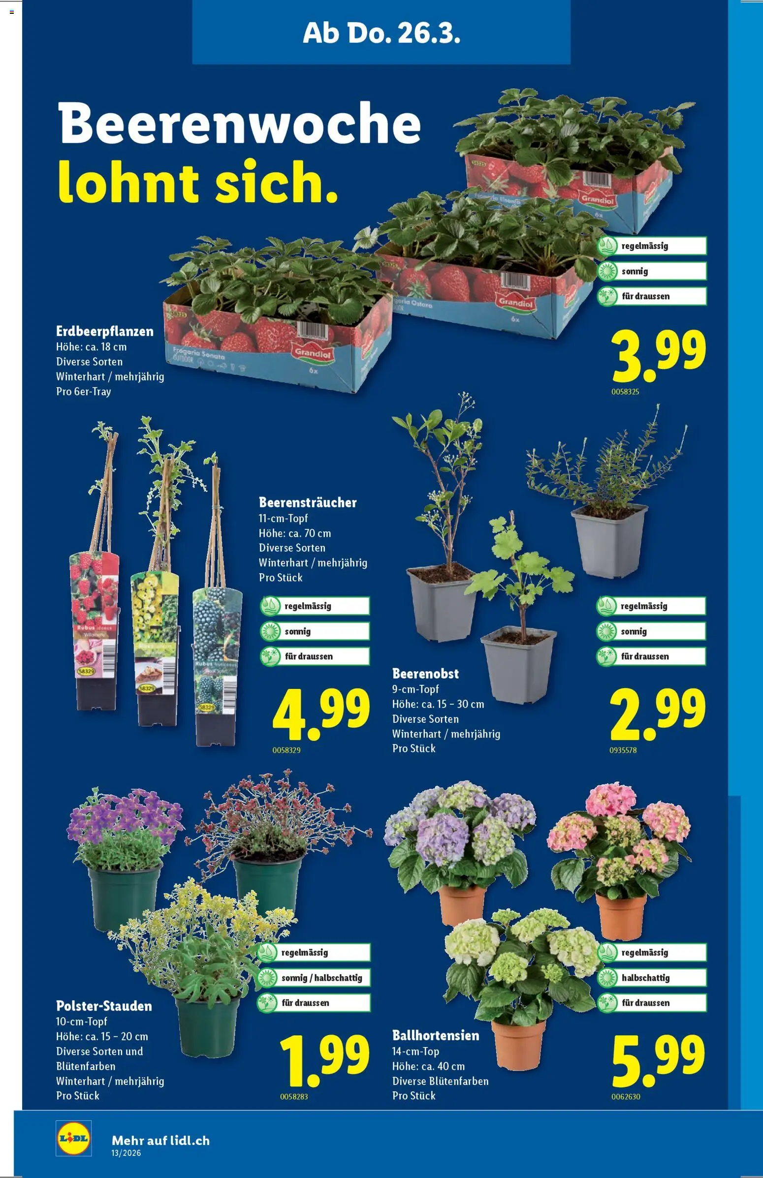 Lidl aktionen - page 18- valid from 26.03.2026