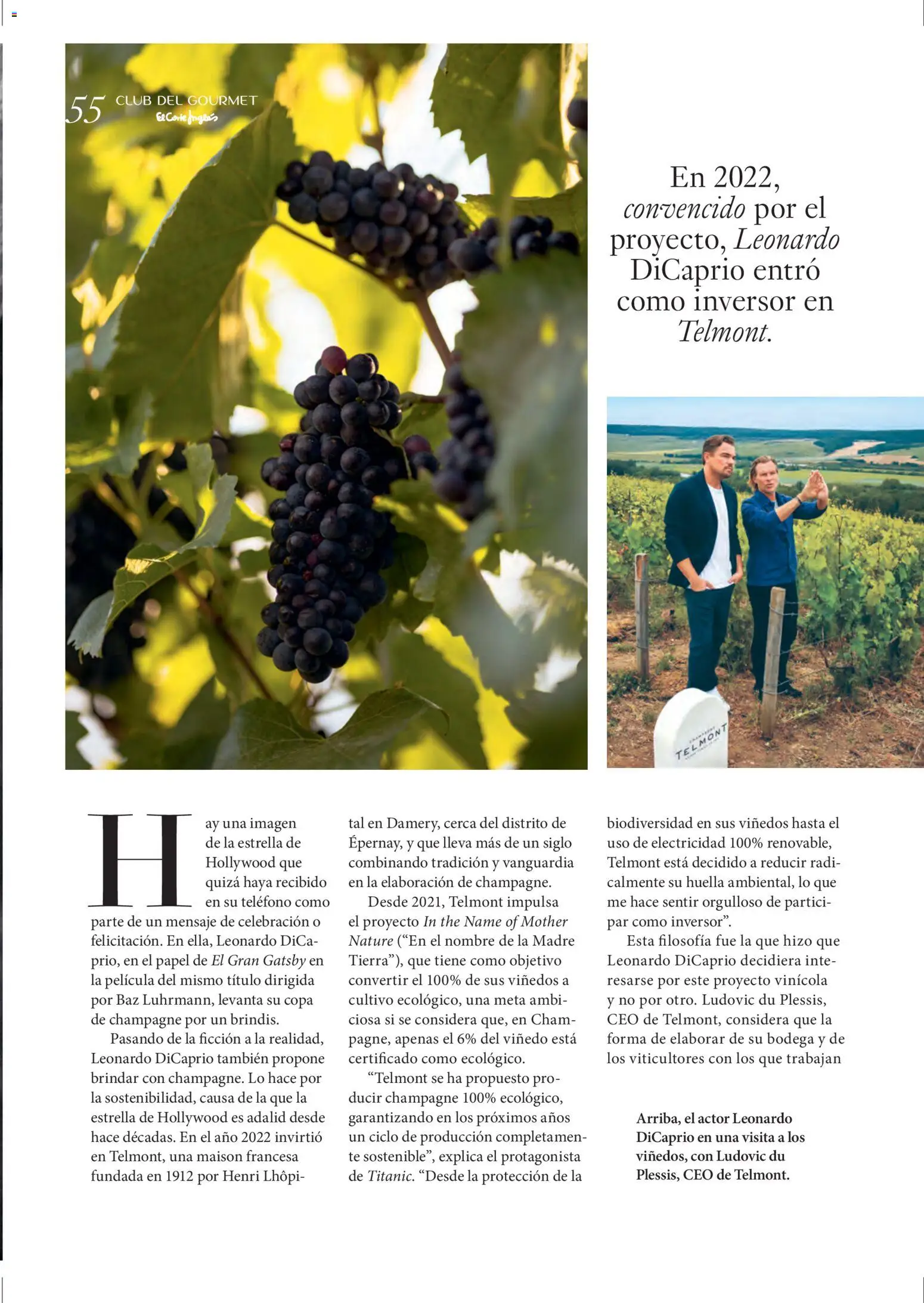 El Corte Inglés ofertas - Página de 55 - Válido desde 11/12/2025